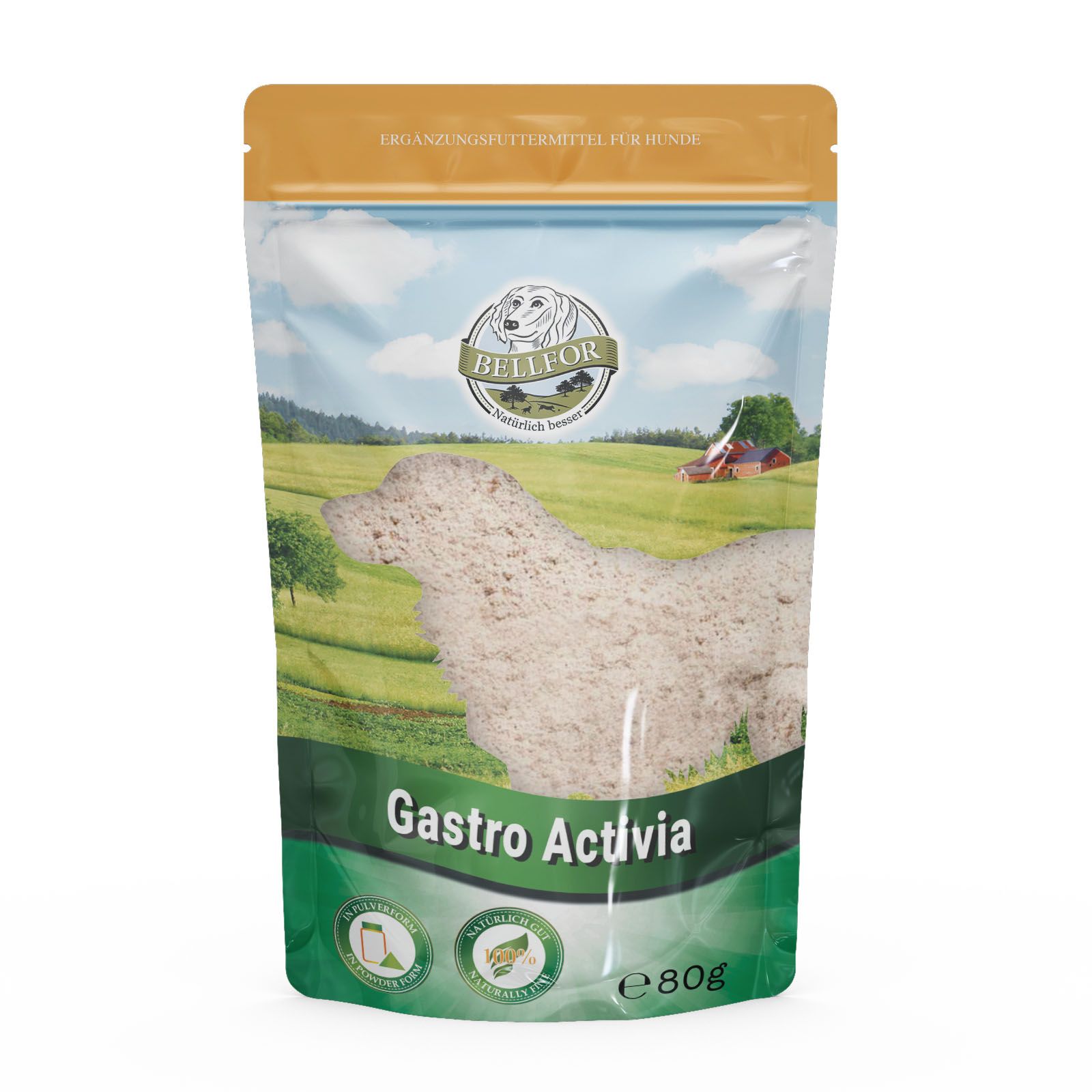 Beutel mit Bellfor Gastro Activia Pulver. Grün-weißes Design mit Logo und Produktnamen. 80g Packung.