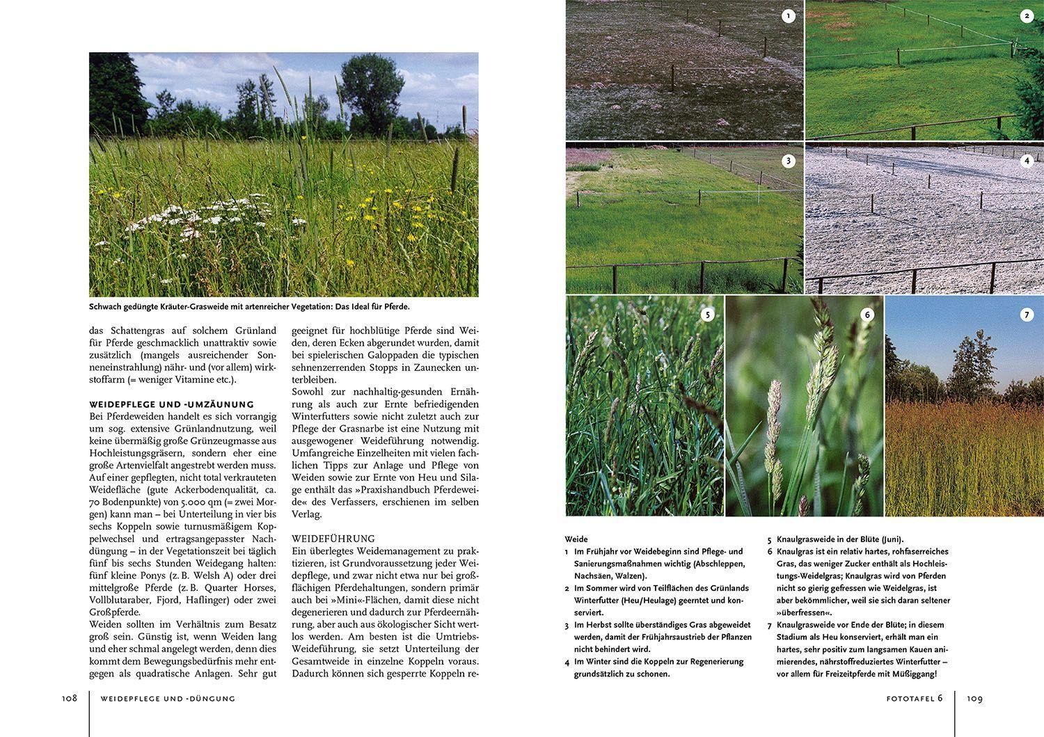 Pferdehaltung und -fütterung