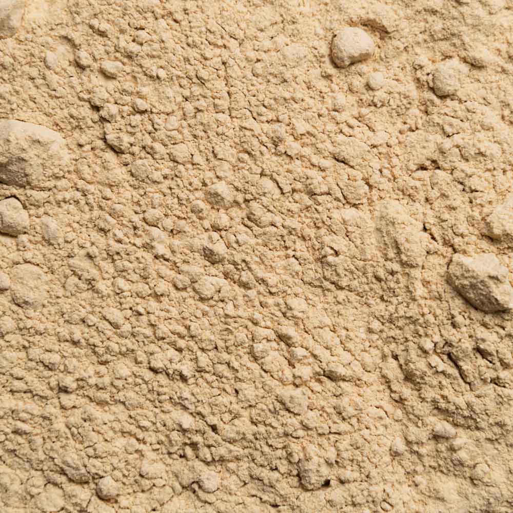Biotiva Shiitake Pulver Bio