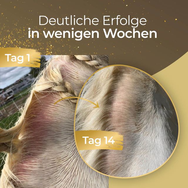 Pferdegold Haut & Fellspray