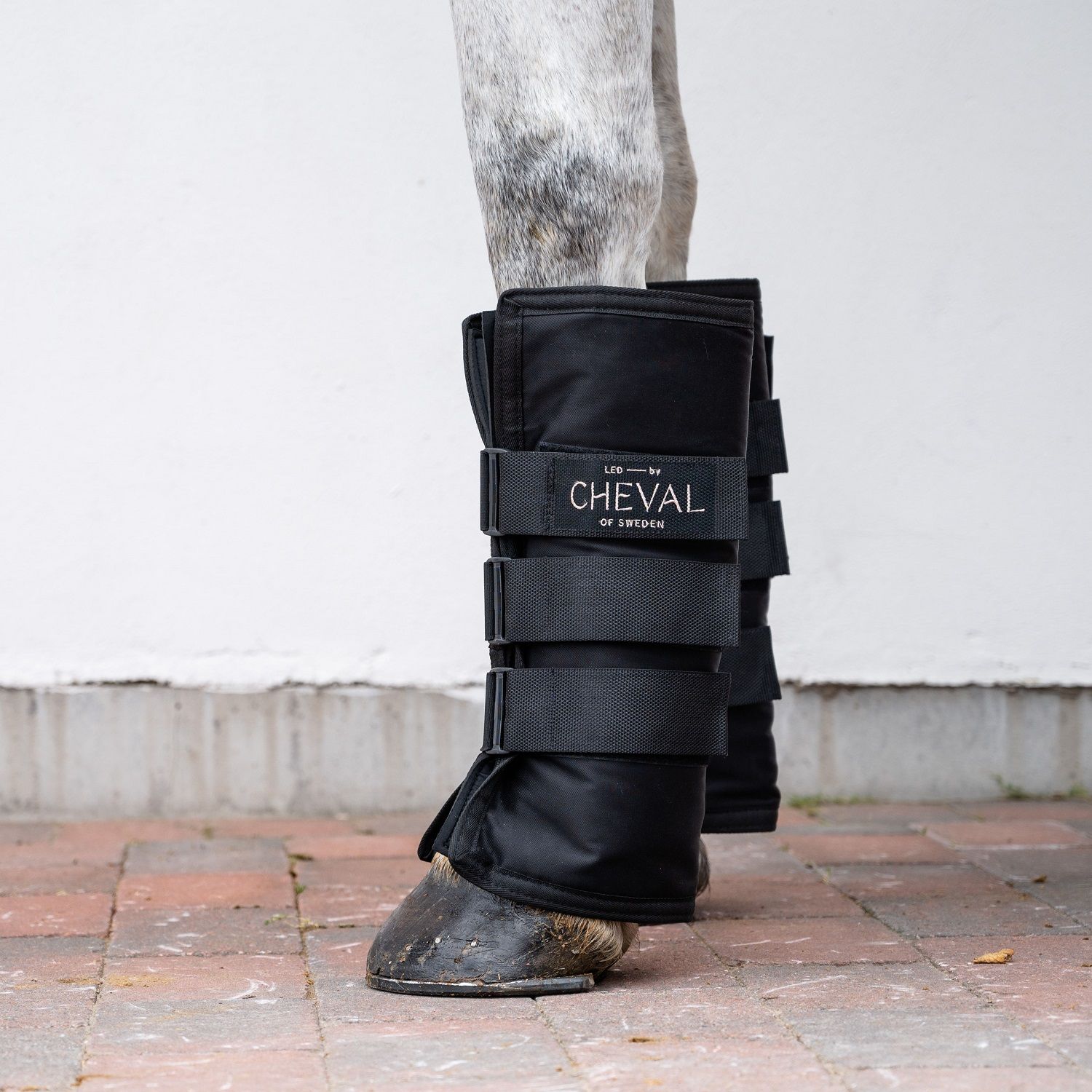 Schwarze Bandage am Pferdebein. Mit Klettverschlüssen und dem Schriftzug "CHEVAL OF SWEDEN".
