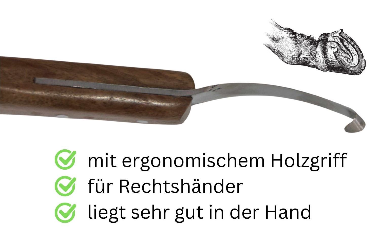 AMKA Hufmesser rechts einschneidig mit Holzgriff
