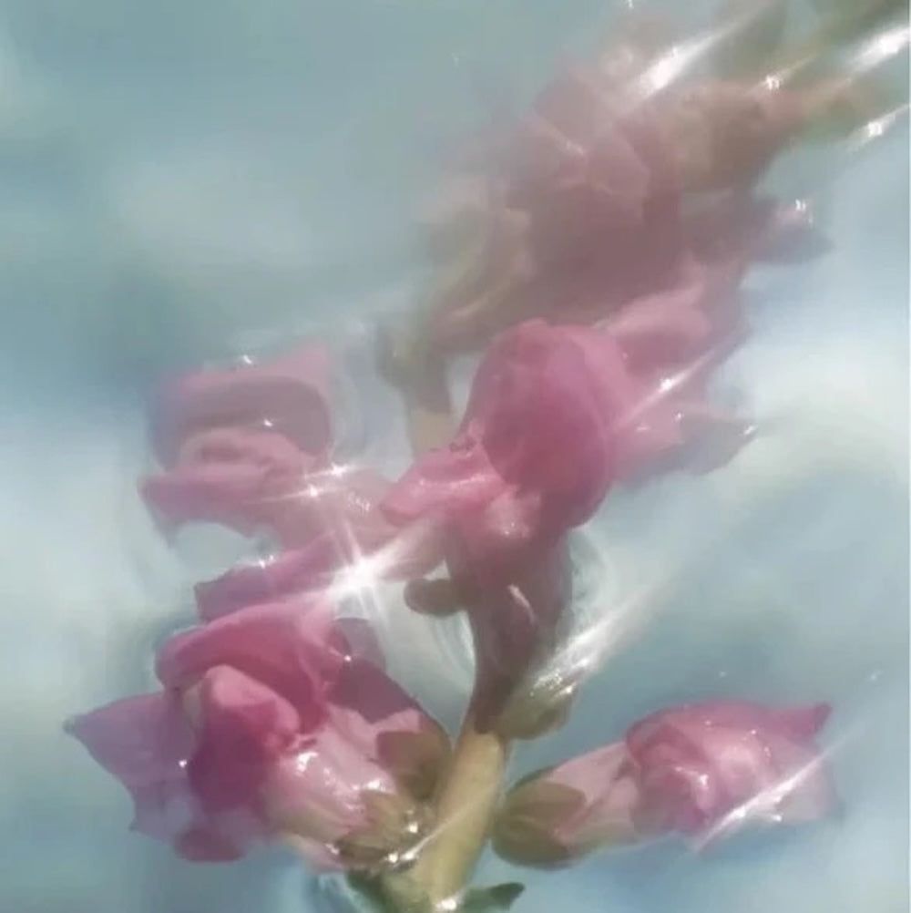 Zero Skin Kollagen-Booster Serum, hydratisierend glättend für trockene und reife Haut