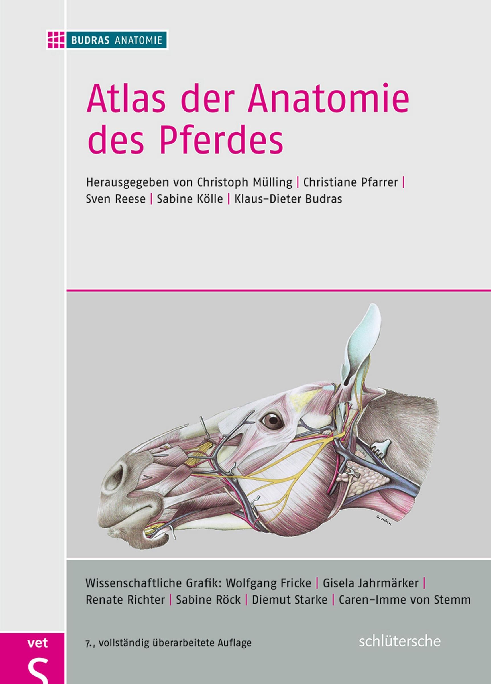Atlas der Anatomie des Pferdes Lehrbuch für Tierärzte und Studierende