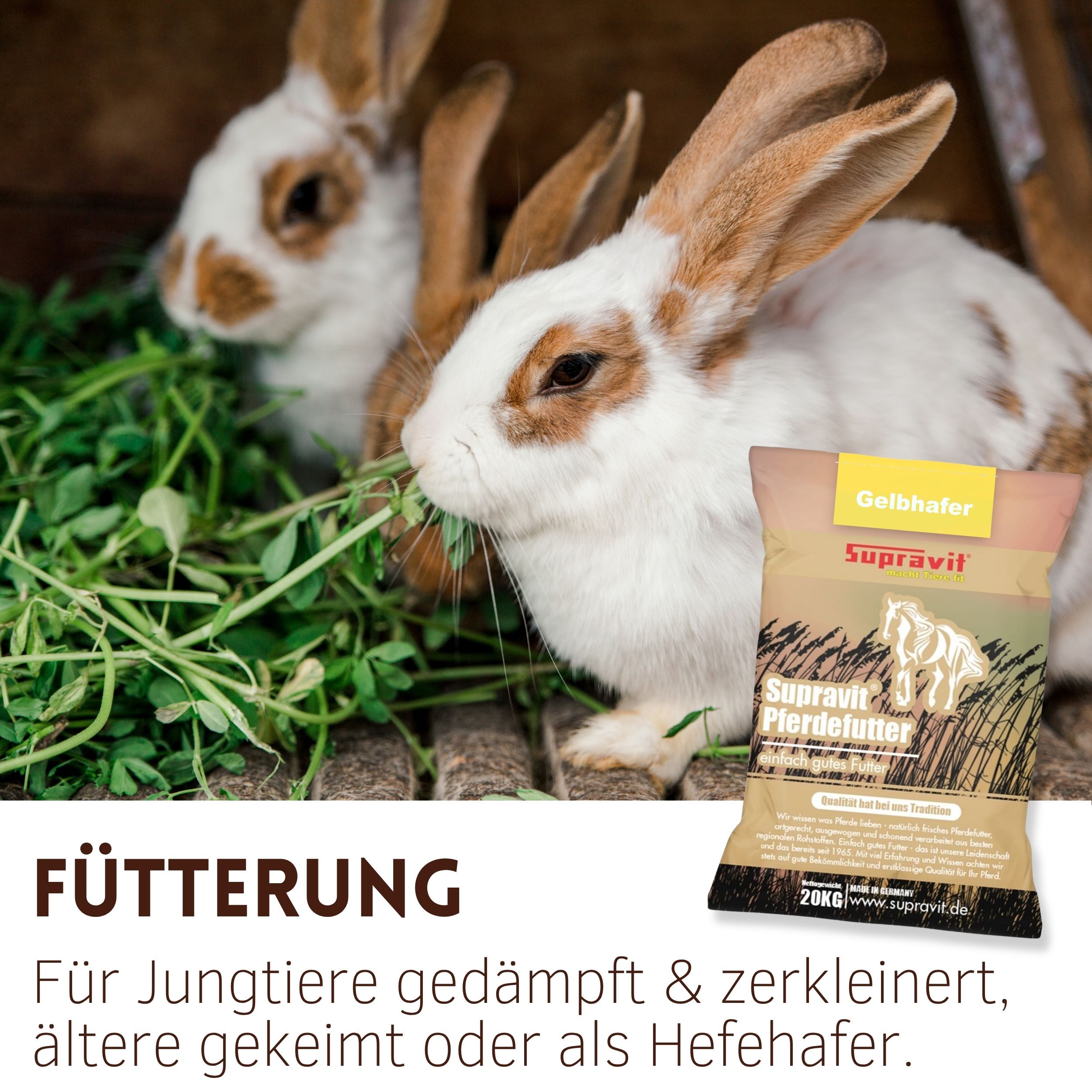 Zwei Kaninchen fressen Grünfutter. Rechts: Packung Supravit Hafer, gelb, mit Pferd-Silhouette. Text: Fütterung.