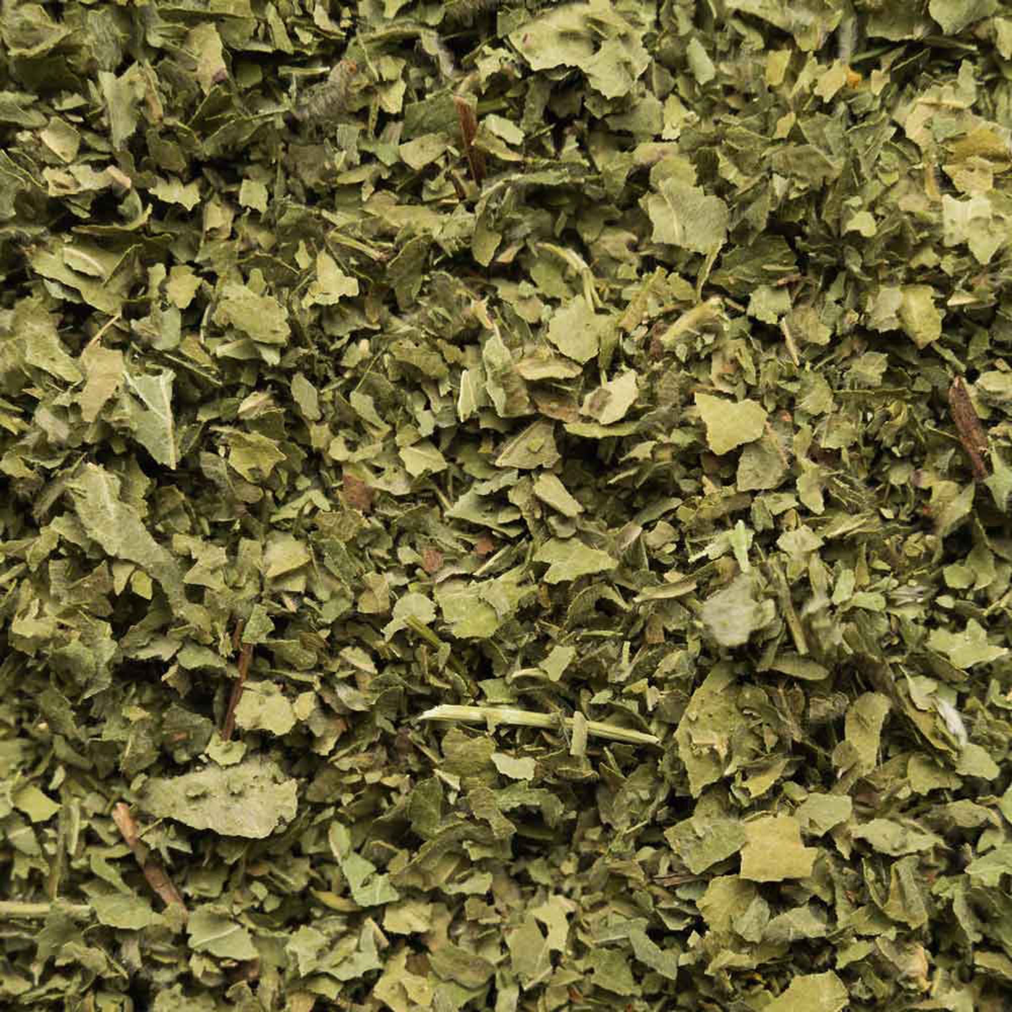Biotiva Frauenmantelkraut Bio