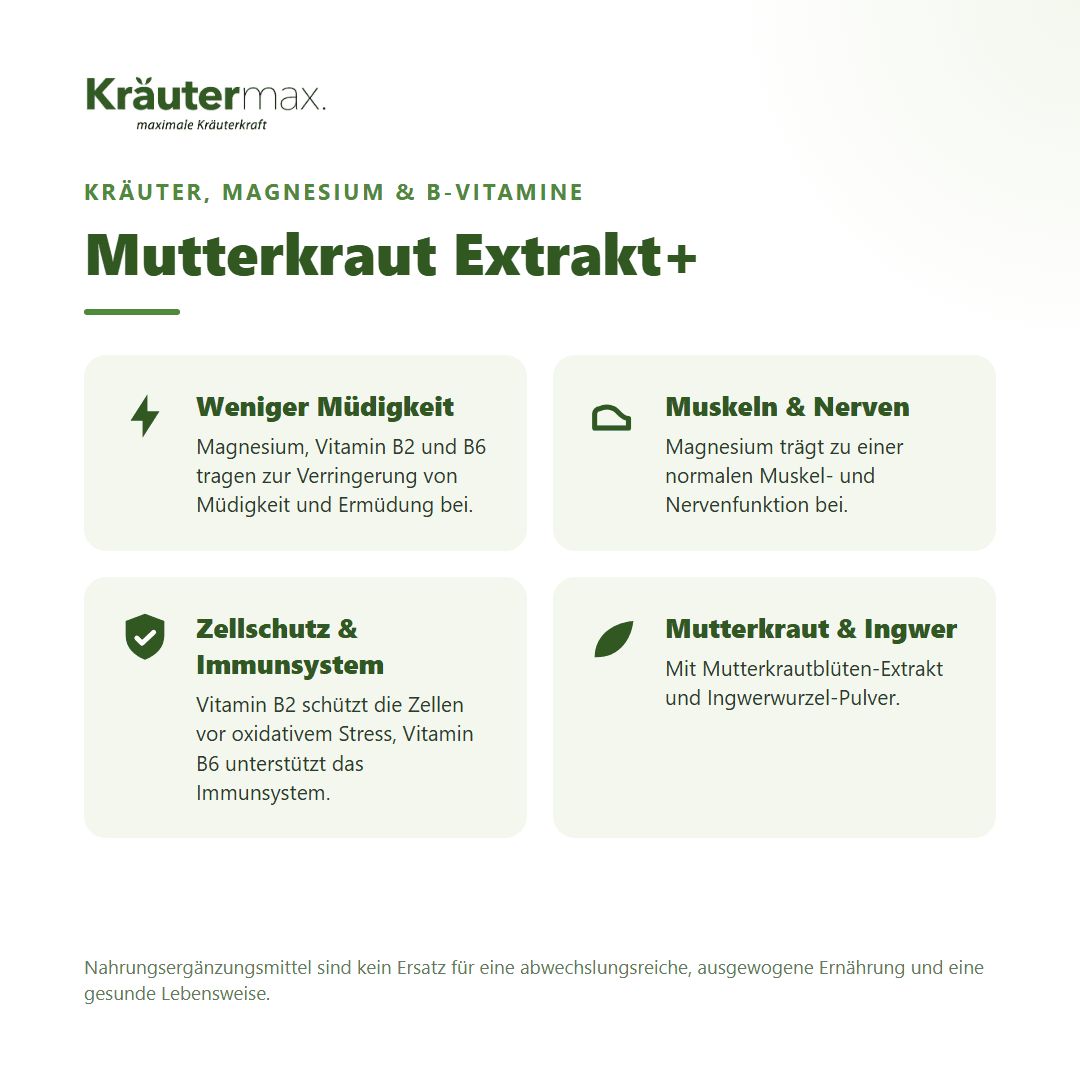 Vier Infoboxen zu Kräutermax Mutterkraut Extrakt+: Weniger Müdigkeit, Muskeln & Nerven, Zellschutz & Immunsystem, Mutterkraut & Ingwer.