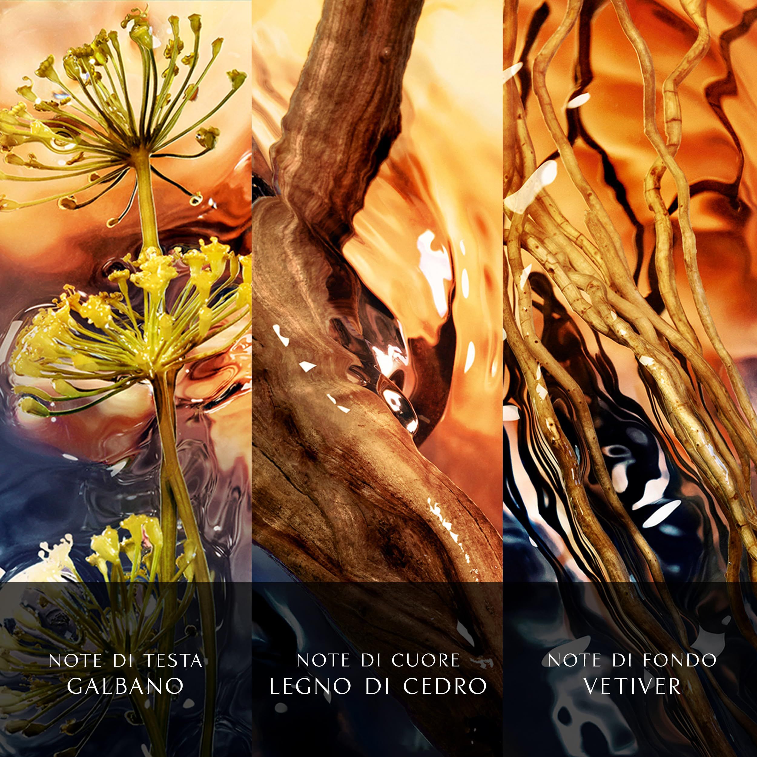 Drei Bilder mit Inhaltsstoffen. Galbanum, Zedernholz, Vetiver. Text: Note di Testa, Note di Cuore, Note di Fondo.