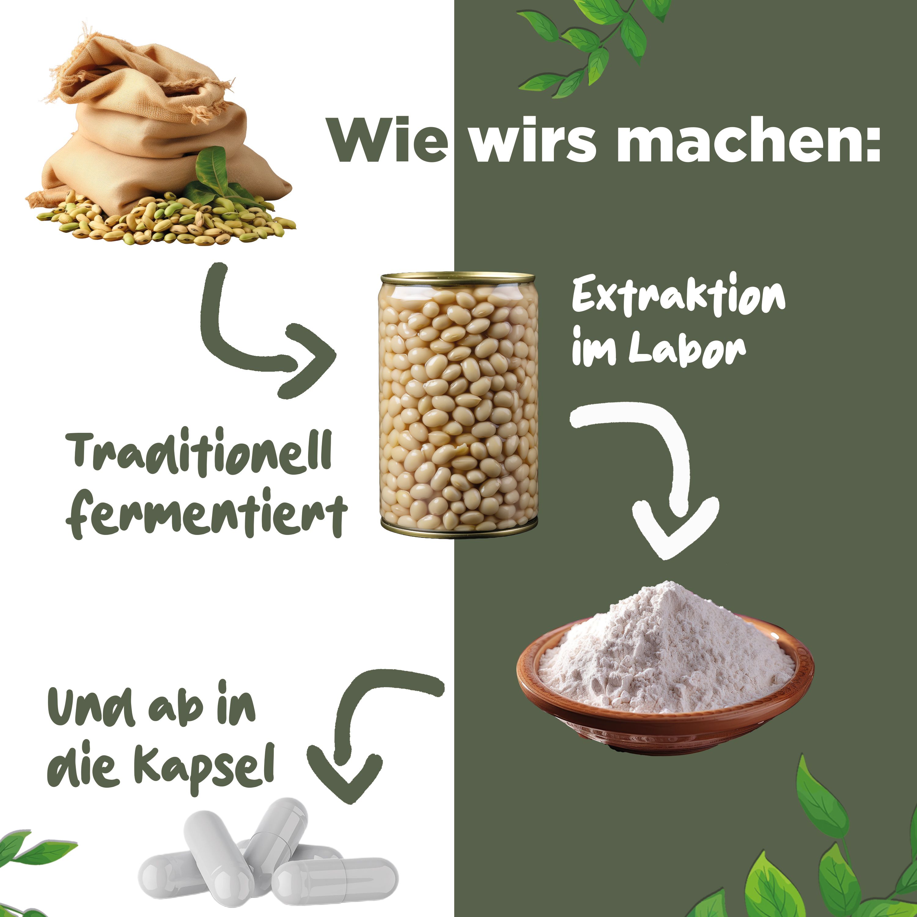 Nattokinase 2000 FU - JAHRESVORRAT - 365 Kapseln je 100mg (20.000 FU/g) - Deutsche Marke - BLATTWERK