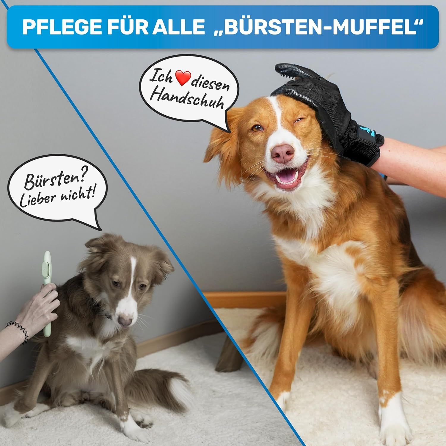 Zwei Hunde. Einer wird mit einem Fellpflegehandschuh gestreichelt, der andere mit einer Bürste. Text: Pflege für alle „Bürsten-Muffel“.