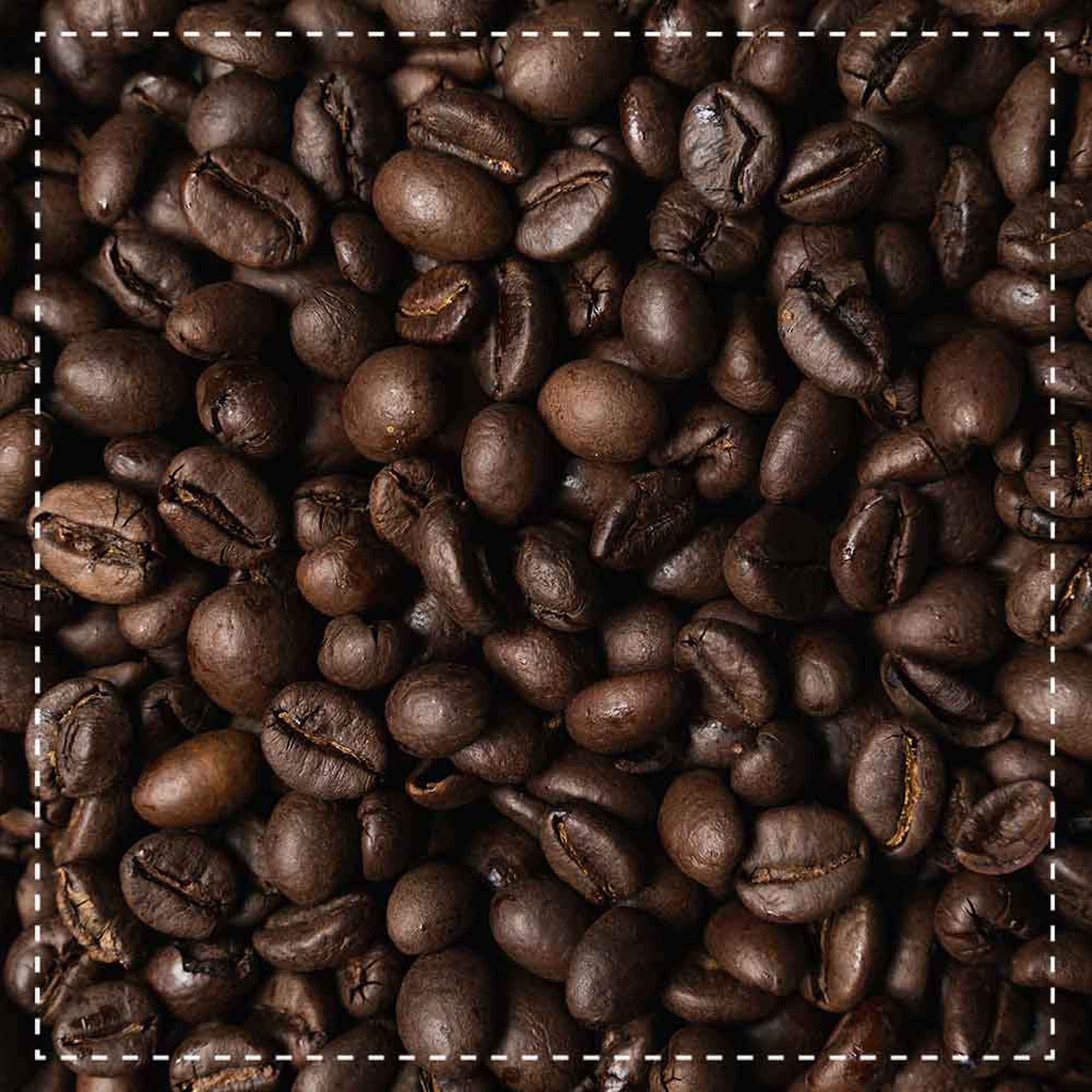 Biotiva Cavallo Nero Espresso Mild Bohne Bio