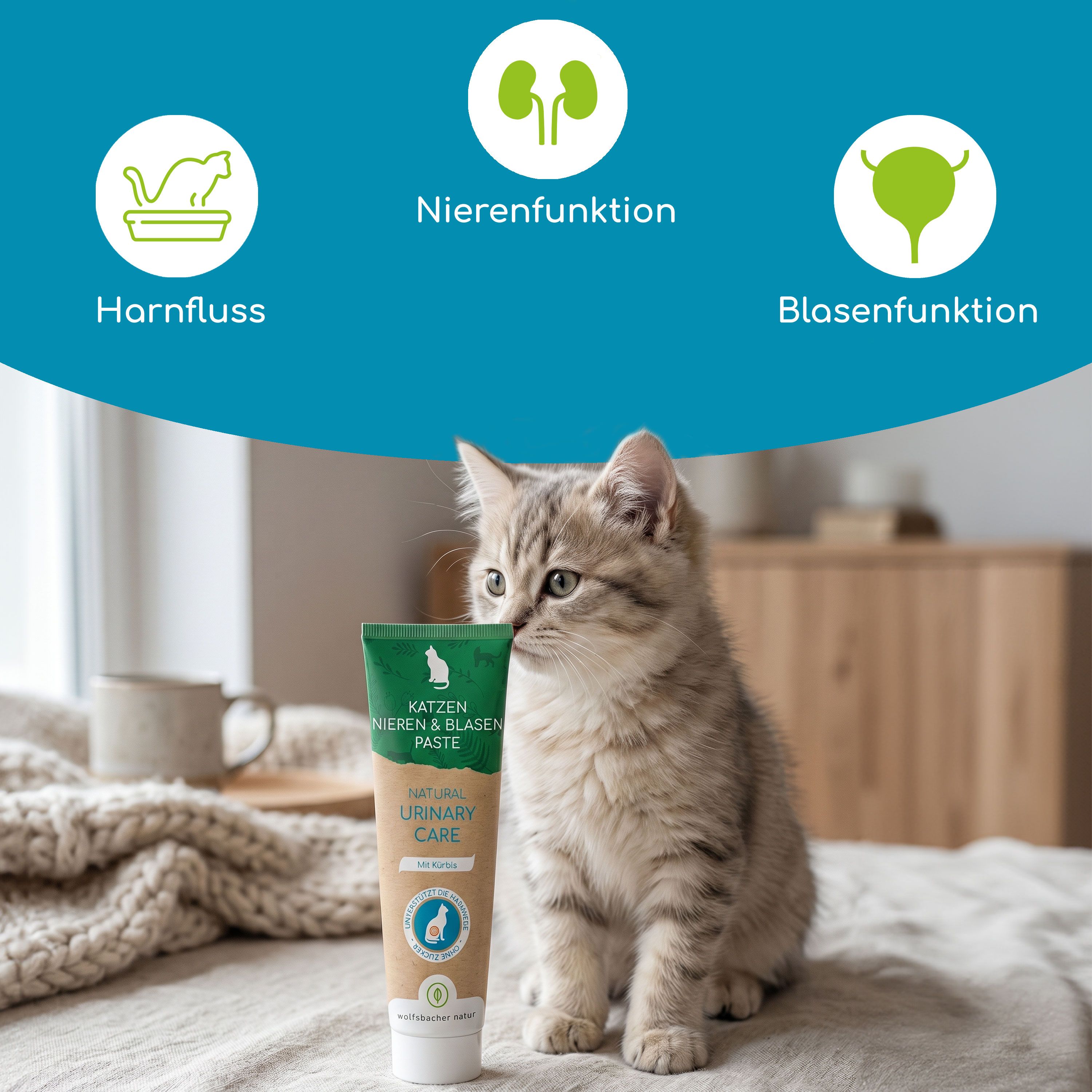 Katzen-Paste zur Unterstützung von Nieren und Blase, mit Icons für Harnfluss, Nieren- und Blasenfunktion.