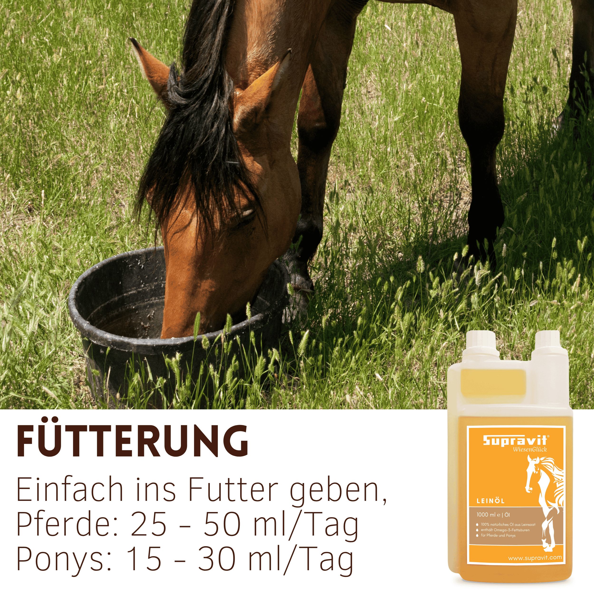 Pferd trinkt aus einem Eimer. Daneben Produktflasche mit Etikett: Supravit Leinöl. Text: Fütterung, einfach ins Futter geben.