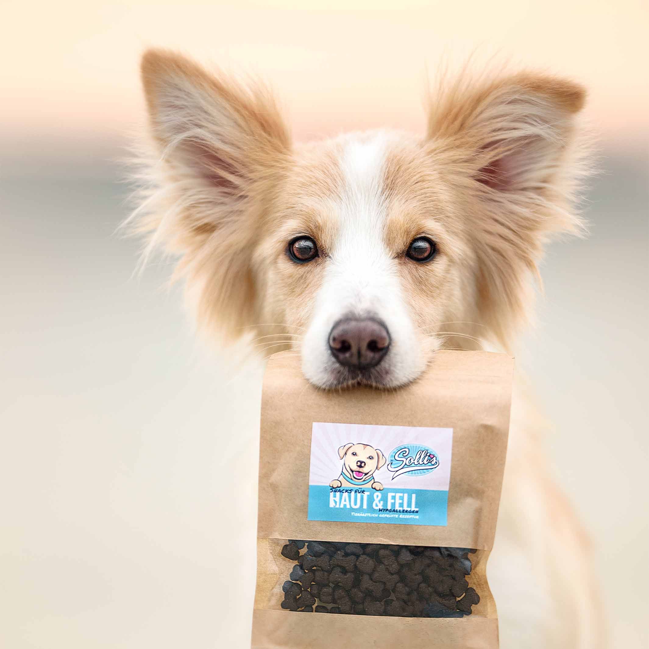Hund hält Papiertüte mit Produkt. Aufdruck: Sollis, Haut & Fell. Braune Snacks sichtbar. Hintergrund: verschwommener Strand.