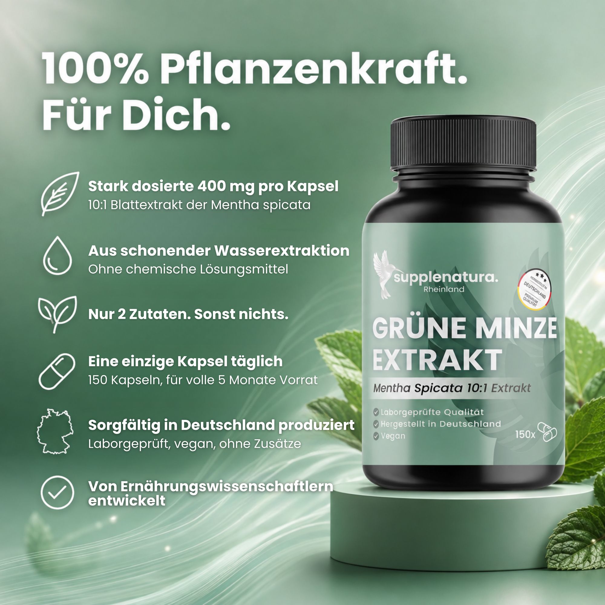 Supplenatura Rheinland® Grüne Minze Extrakt Kapseln–400 mg Mentha Spicata 10:1