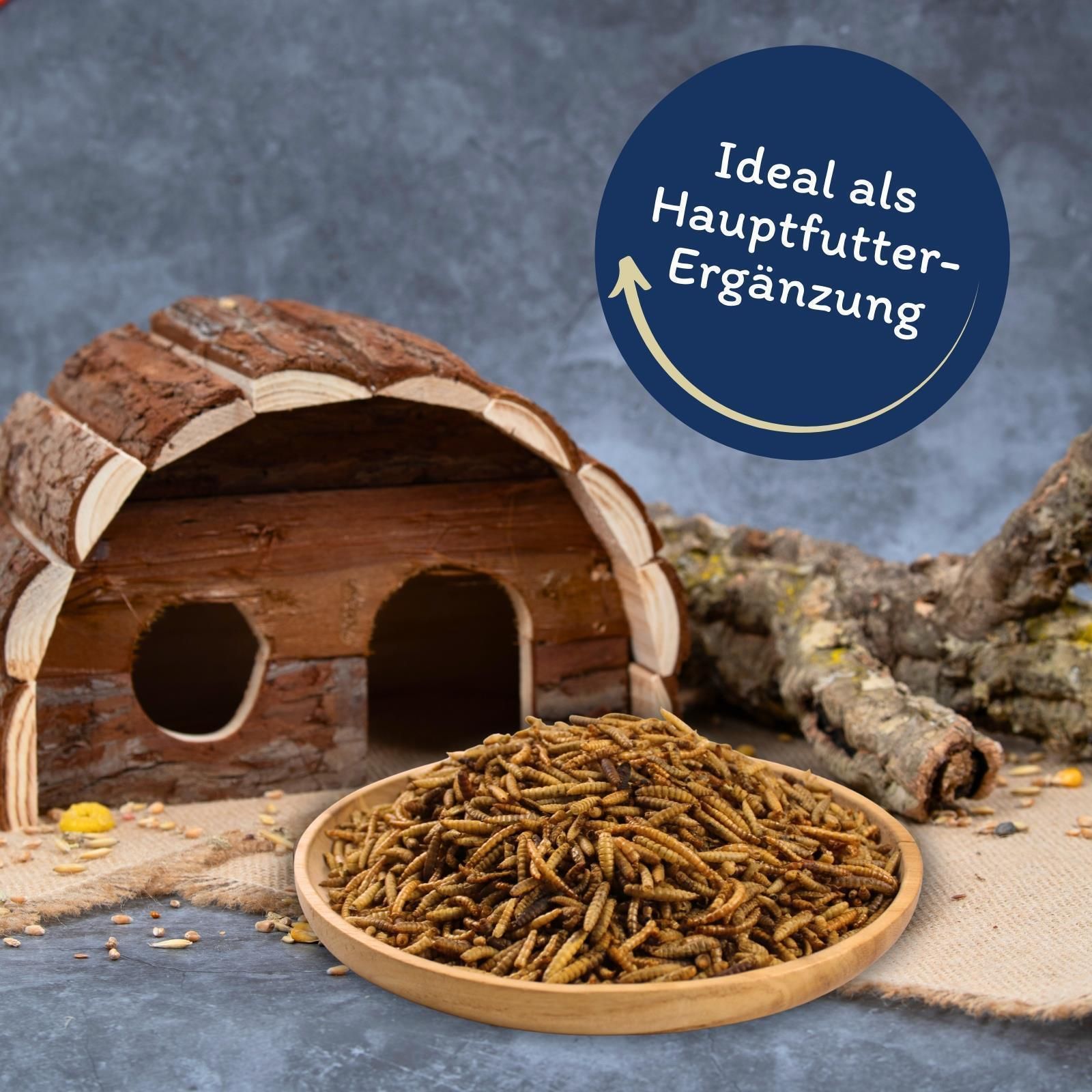 Holzschale mit Mehlwürmern neben einem Holzhaus, "Ideal als Hauptfutter-Ergänzung"-Kreis oben rechts.