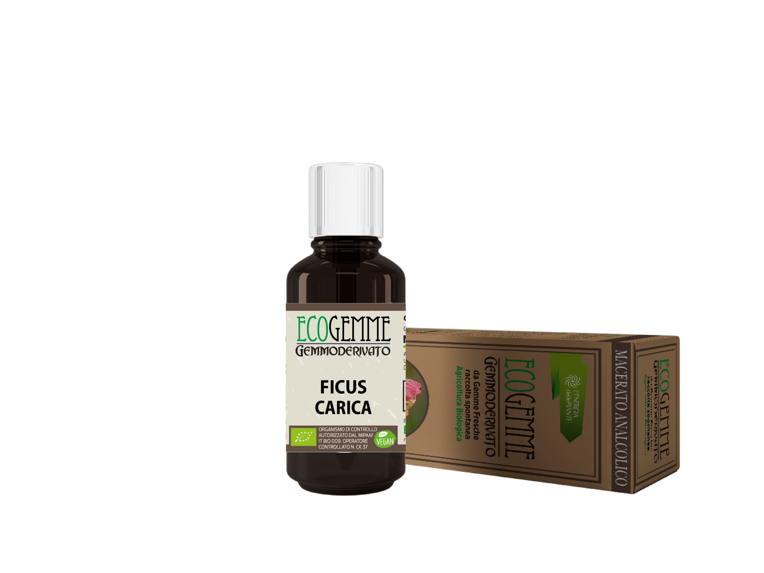 L'Energia delle Piante Ecogemme Ficus Carica