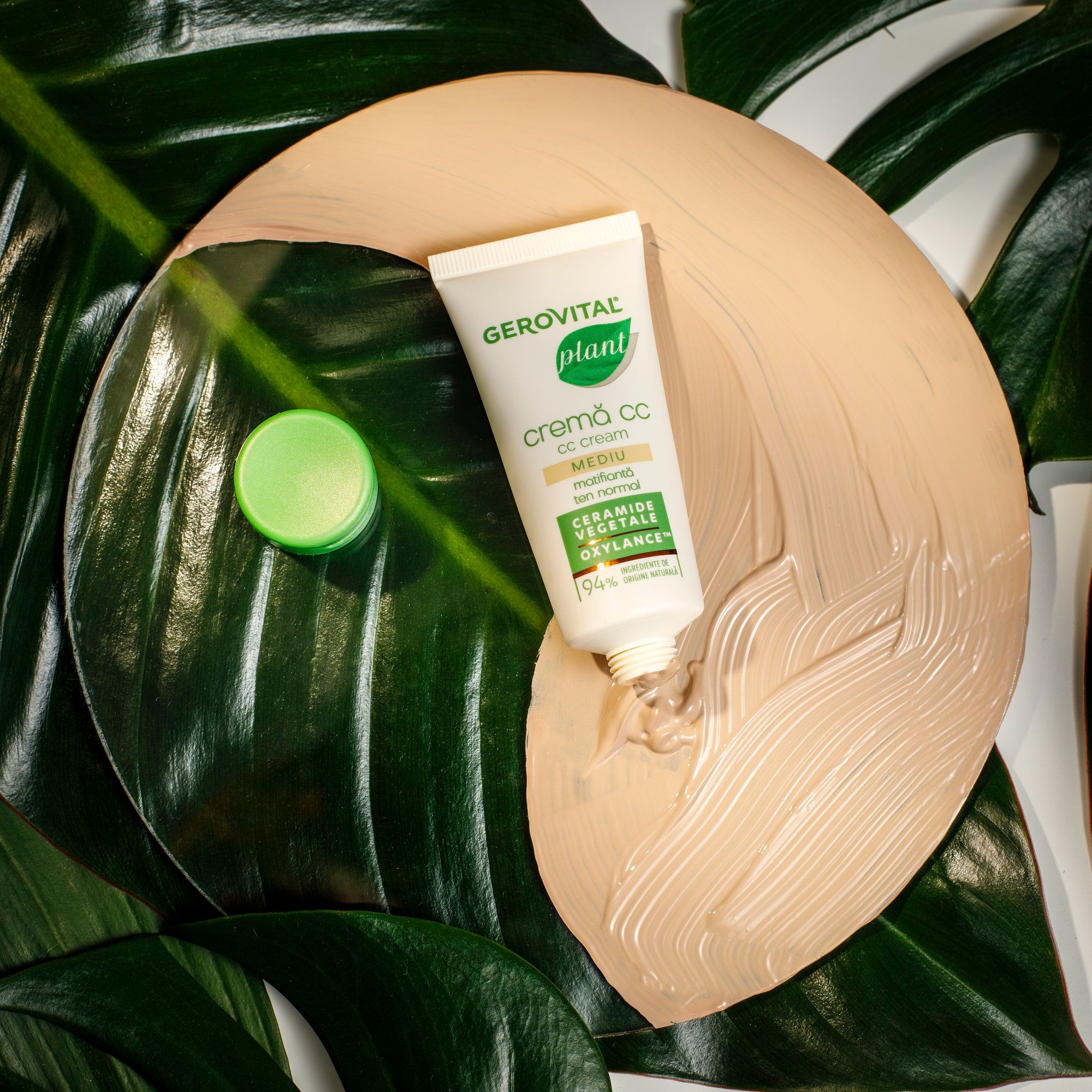 Tube CC Cream auf cremefarbener Fläche, daneben ein grüner Deckel. Auf Blättern platziert.