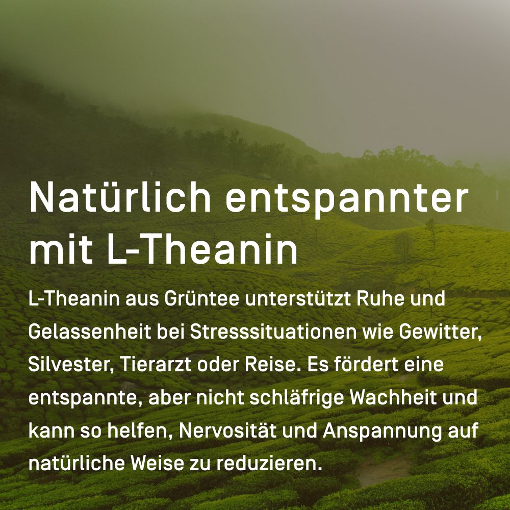RELAX-Tropfen für Hunde & Katzen zur Beruhigung bei Stress