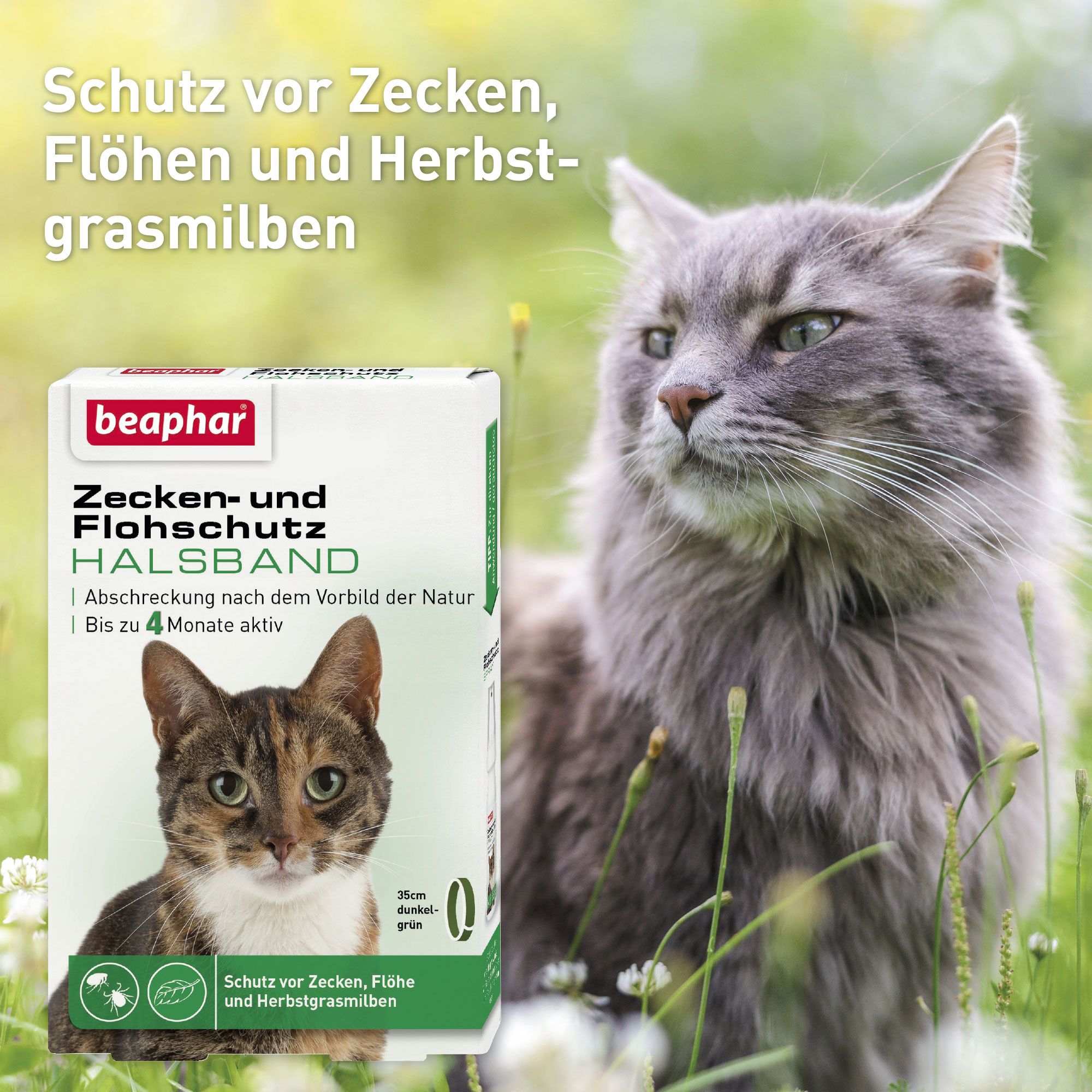 Beaphar - Zecken- und Flohschutz Halsband für Katzen