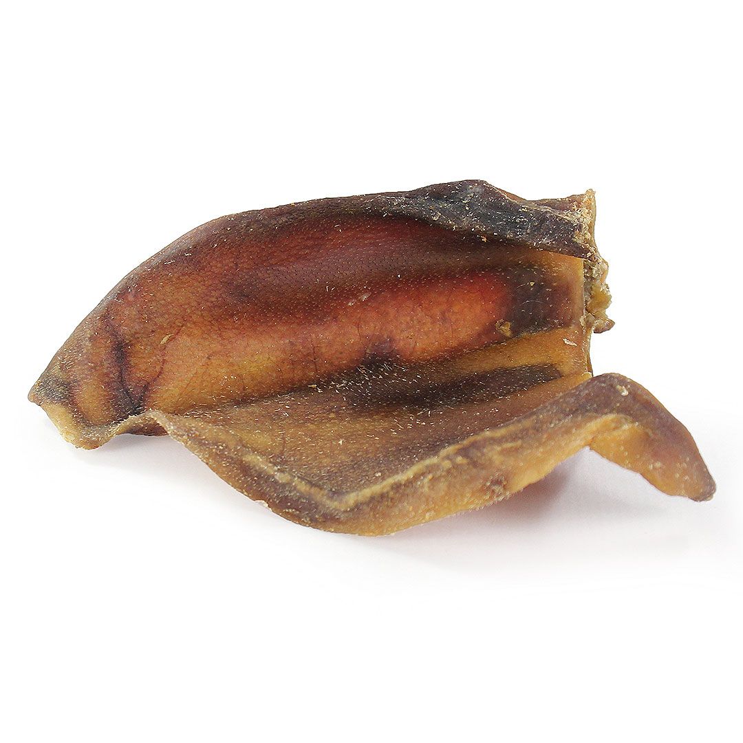 Ein getrocknetes Schweineohr, braun und beige. Die Form ist unregelmäßig, mit gewellten Kanten und einer gerollten Spitze.