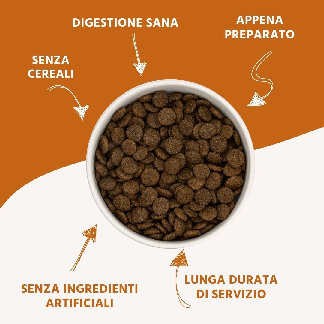 Nahaufnahme von Trockenfutter in einer Schüssel. Pfeile zeigen auf: Verdauung, frisch zubereitet, ohne künstliche Zutaten, lange Haltbarkeit.