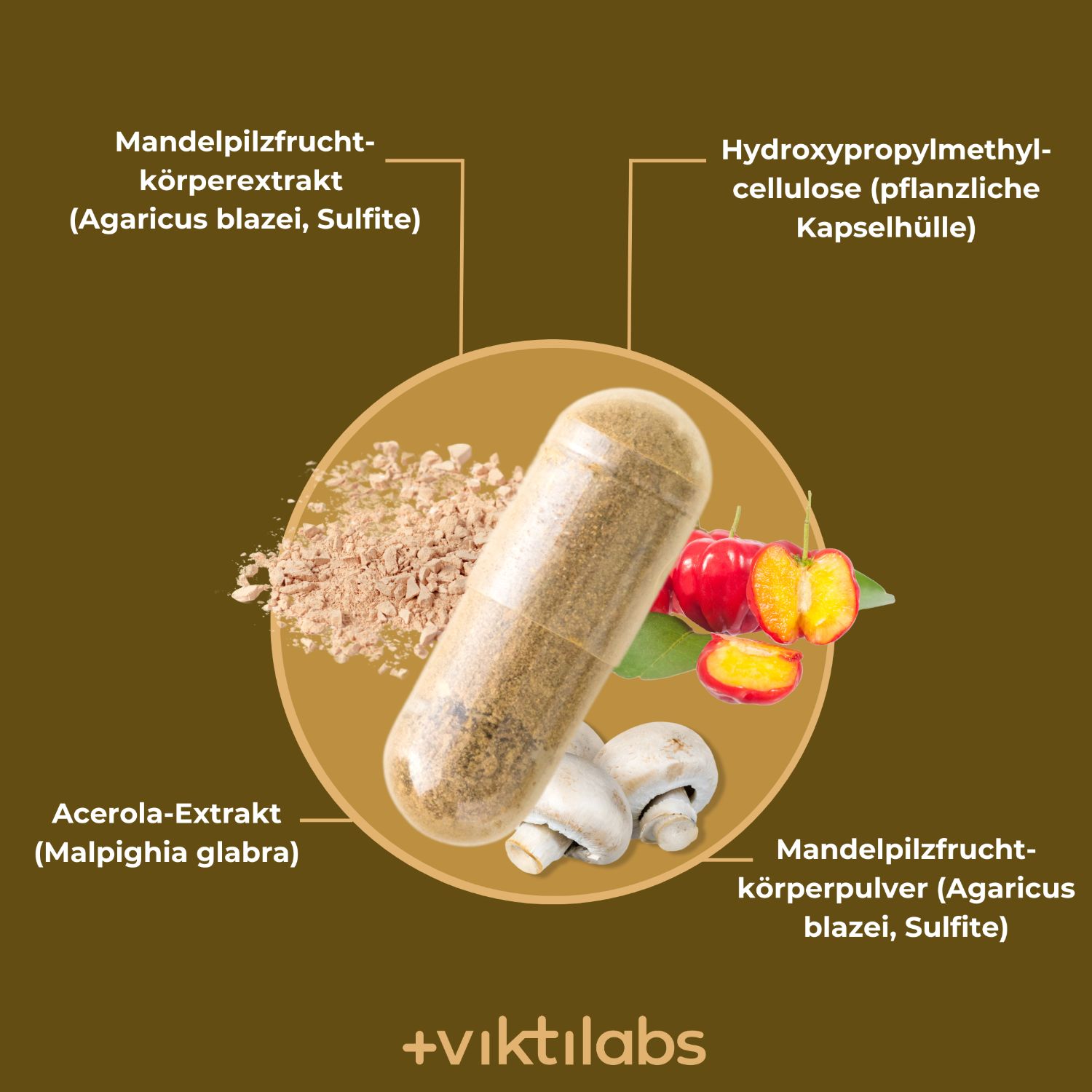 Viktilabs Premium Mandelpilz: Vitalpilz mit Vitamin C
