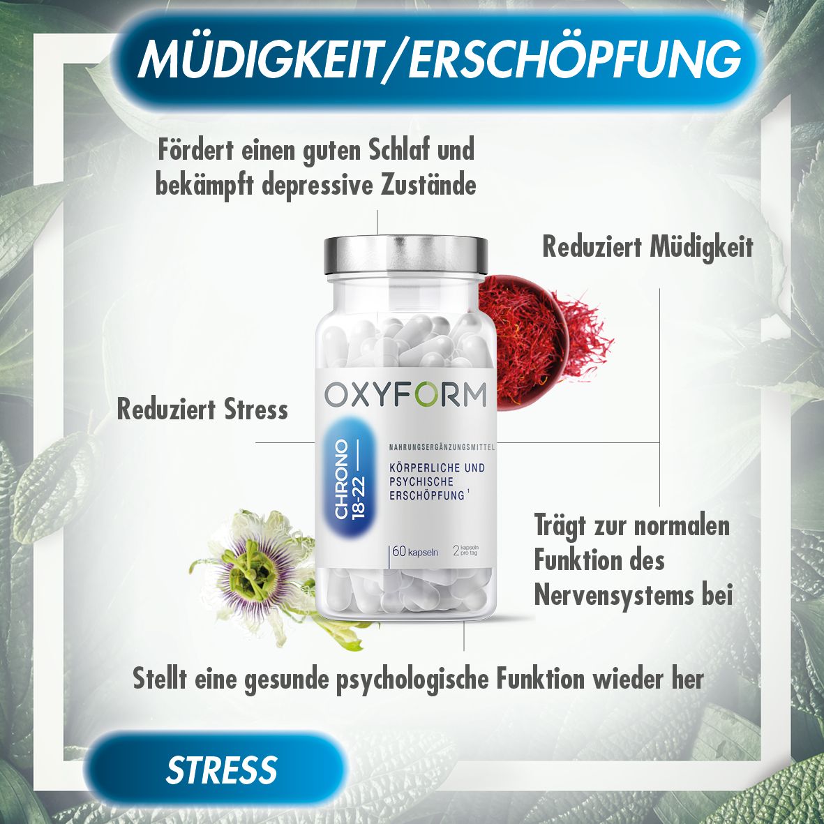 Glasflasche mit Kapseln, umgeben von Illustrationen. Text: "OXYFORM", "CHRONO 18-22". Zusätzliche Texte über Stress und Müdigkeit.