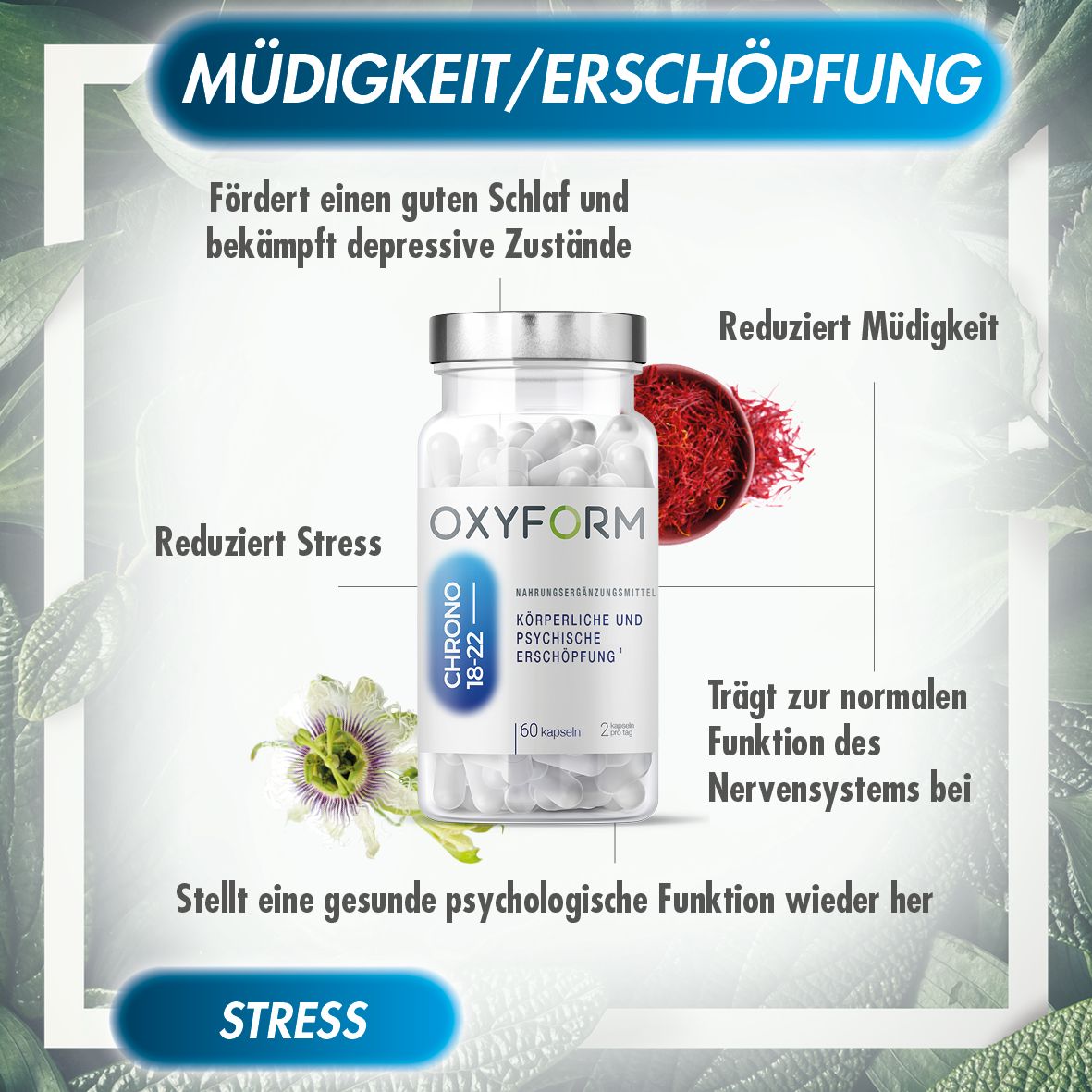 Oxyform Chrono Stressbekämpfung Gelkapseln 60 St Kapseln