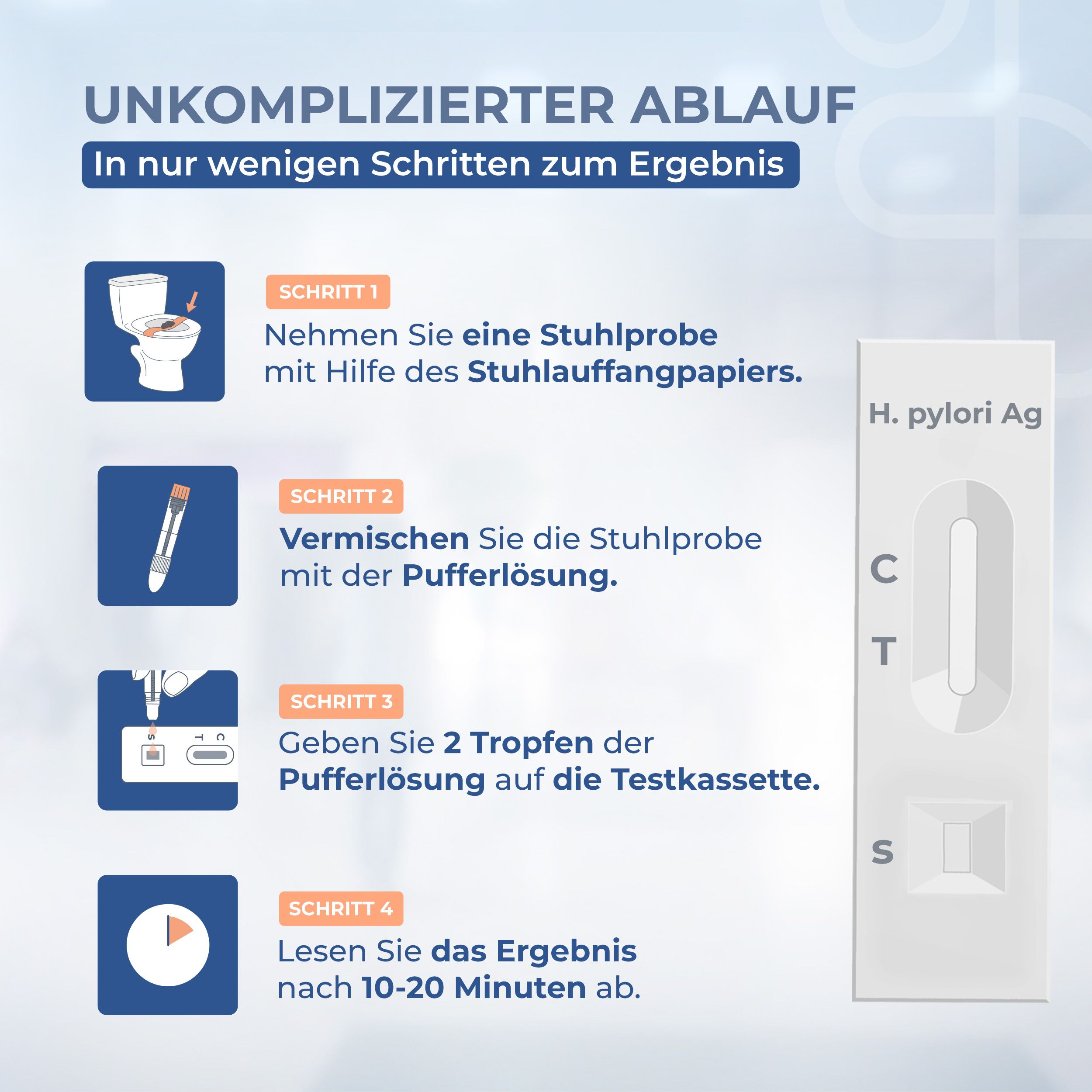 Anleitungsschritte für einen Test. Enthält Abbildungen und Text.