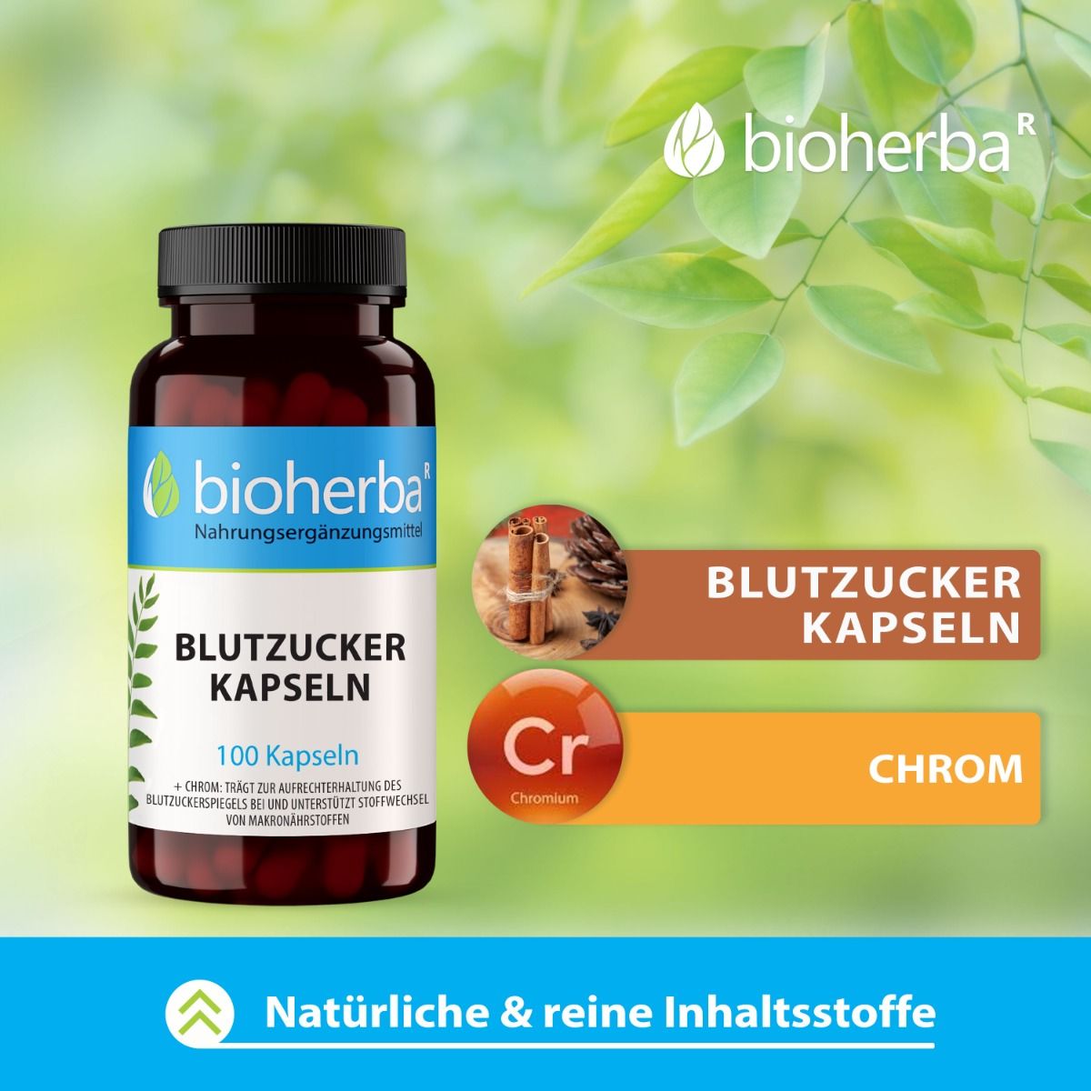 Braune Flasche mit schwarzen Deckel. Enthält Bioherba Blutzucker Kapseln. 100 Kapseln. Zusätzliche Grafiken mit Inhaltsstoffen und Chrom.