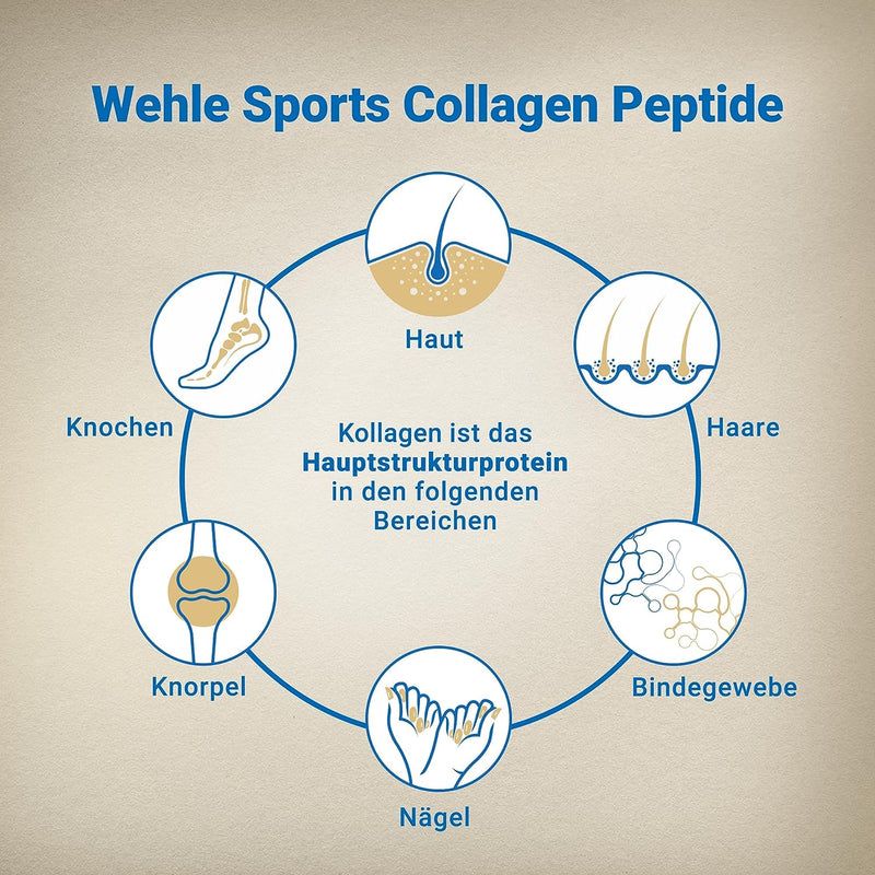 Kollagen Pulver - Premium Collagen Hydrolysat Peptide von Wehle Sports 1000 g