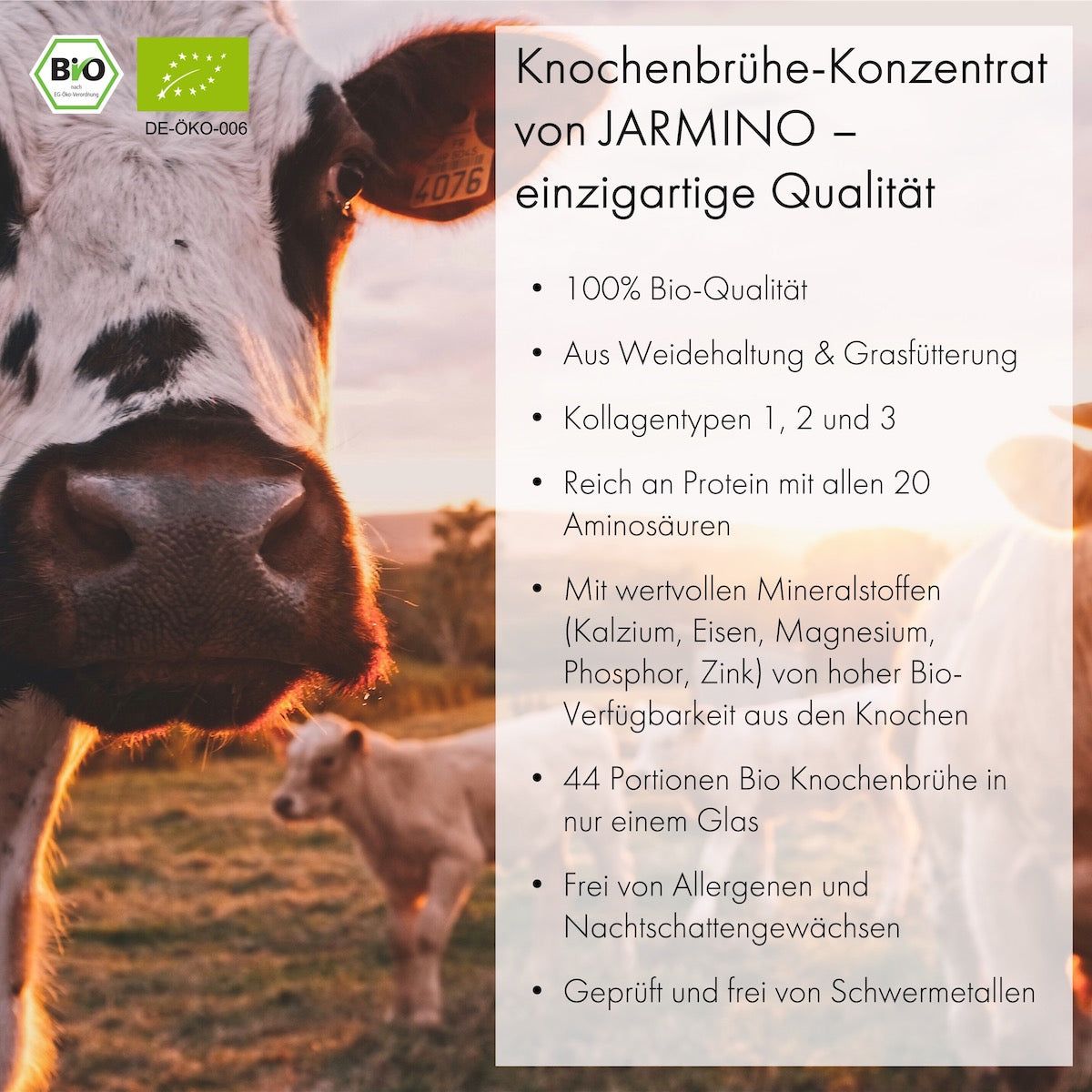 JARMINO Kollagen & Knochenbrühe Box