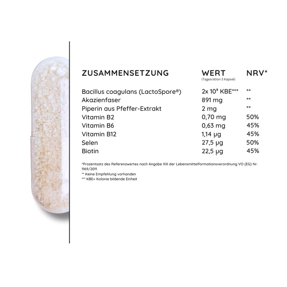 Nahaufnahme einer Kapsel mit Inhaltsangaben. Auflistung von Inhaltsstoffen wie Bacillus coagulans, Akazienfaser, Vitaminen.