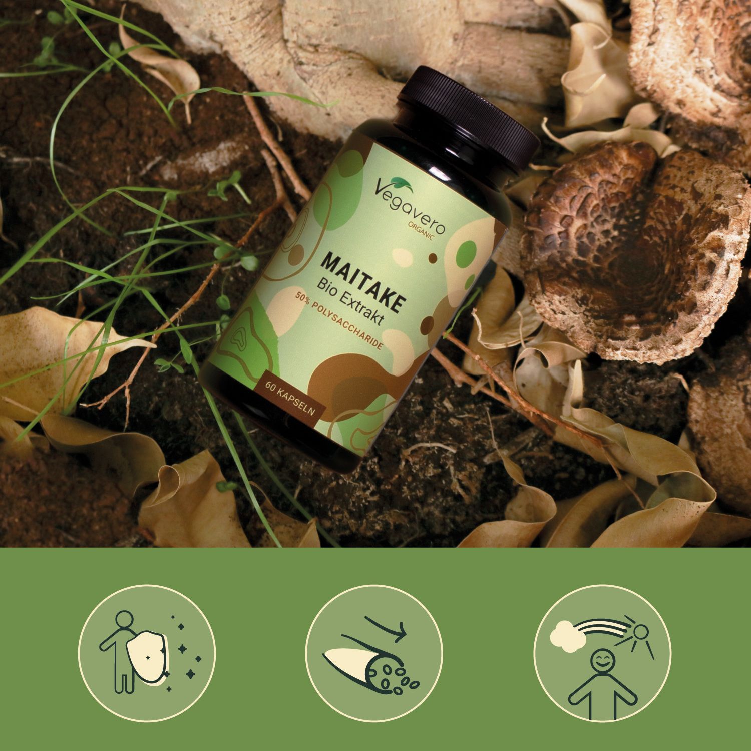 Grüne Flasche mit schwarzem Deckel, Aufschrift: Maitake Bio Extrakt, 50% Polysaccharide, 60 Kapseln. Auf Erde platziert, mit Pilzen und Blättern.
