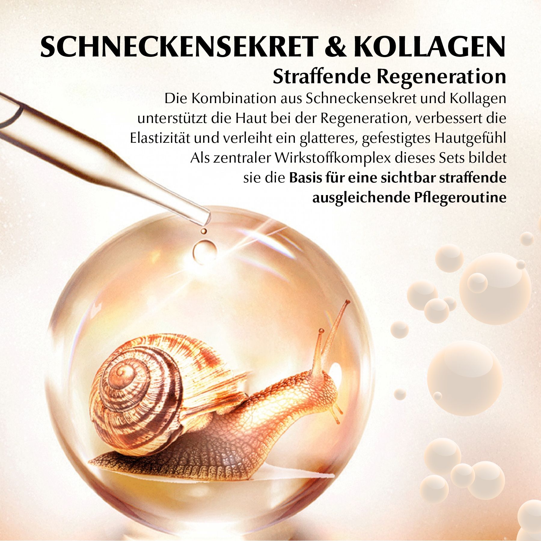 DR RASHEL Gesichtspflege-Set Kollagen Snail Mucin Geschenkbox Serum Cream Cleanser Toner