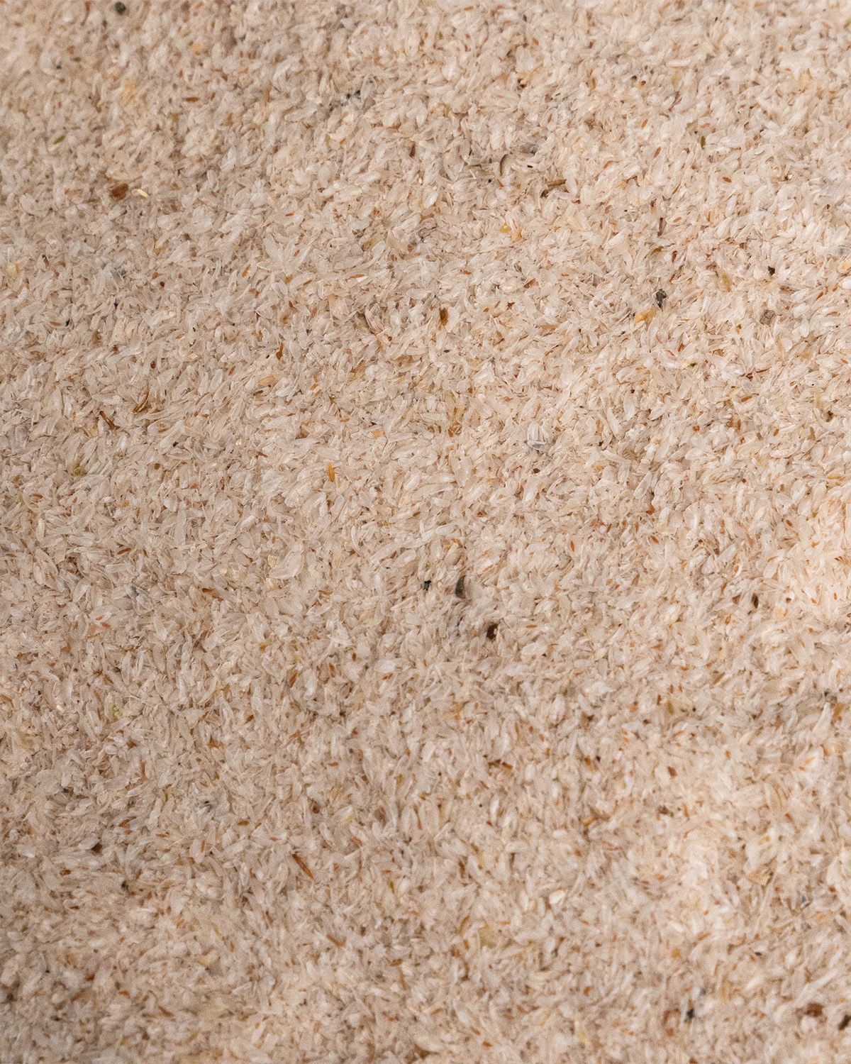 Nahaufnahme von Flohsamenschalen. Helle, körnige Textur. Einzelne Partikel sichtbar.
