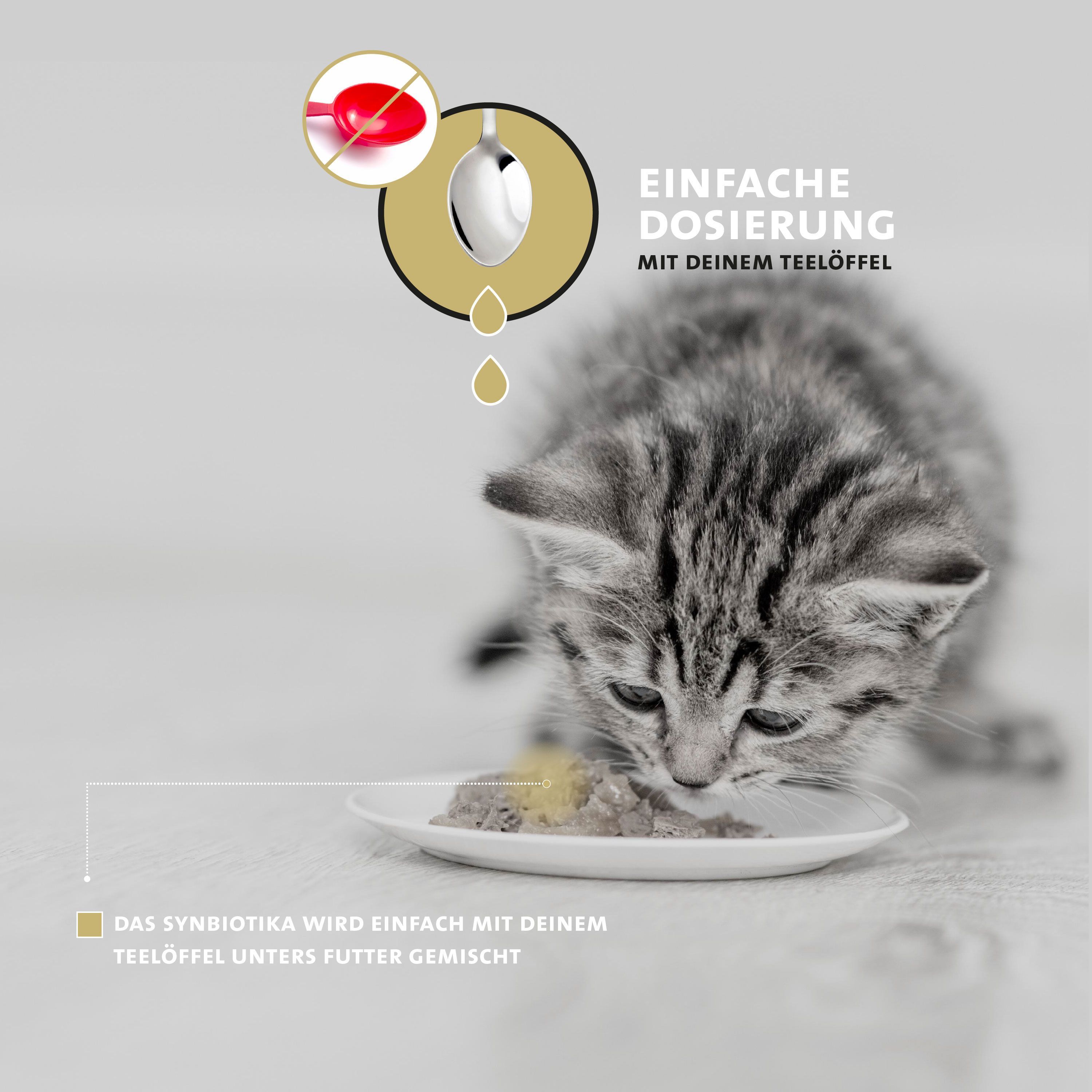Kätzchen isst Futter. Text: Einfache Dosierung mit deinem Teelöffel. Ein gestrichener Teelöffel = ca. 1 Gramm.