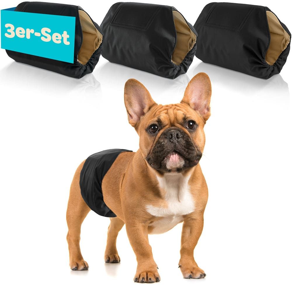 Drei schwarze Hundewindeln. Ein Hund mit Windel. Text: 3er-Set.