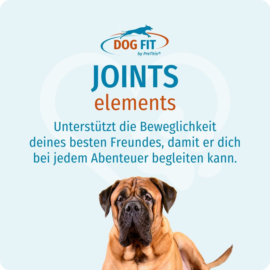 Logo DOG FIT by PreThis®. Text: JOINTS elements. Bild eines Hundes. Text: Unterstützt die Beweglichkeit deines besten Freundes.
