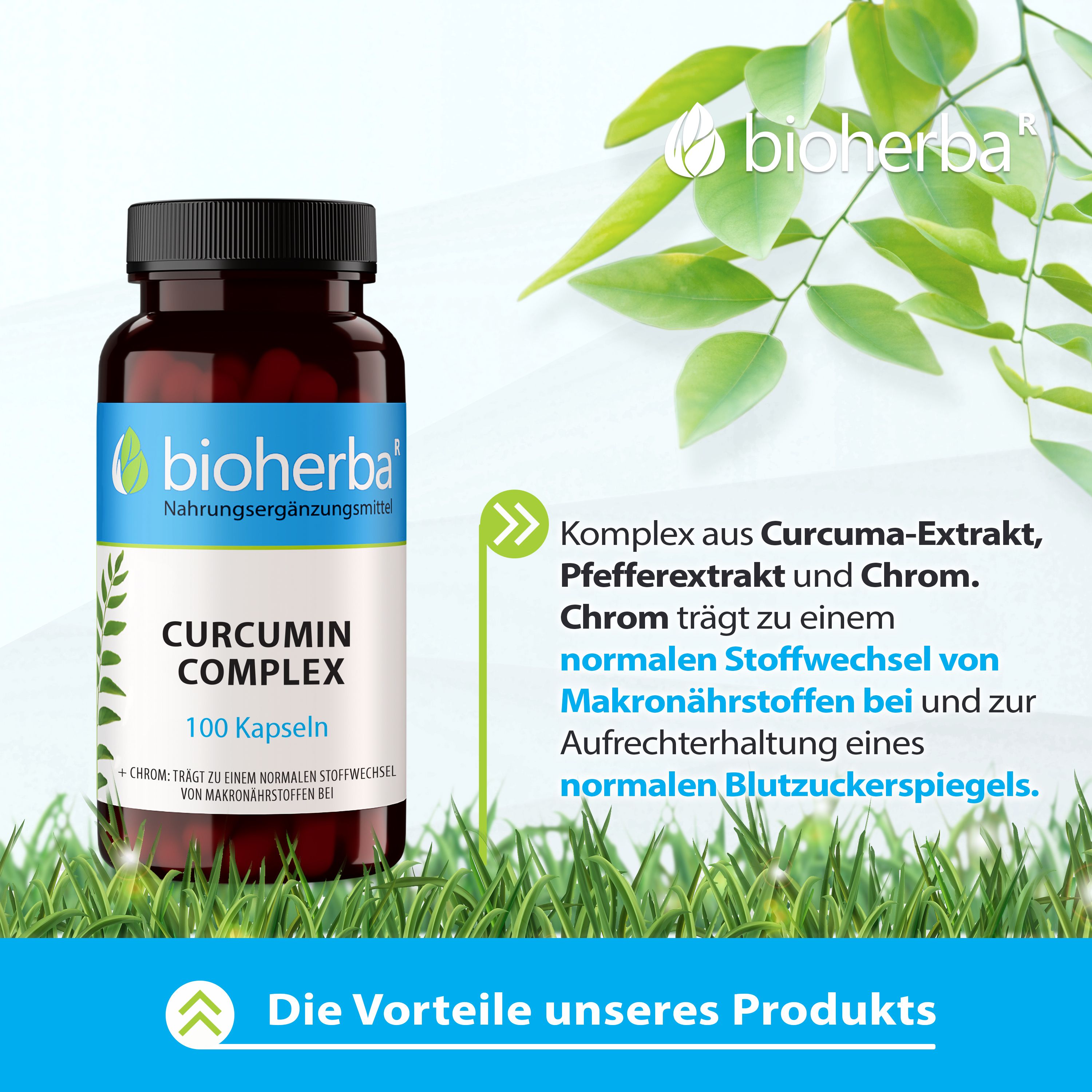 Bioherba Curcumin Complex Kapseln