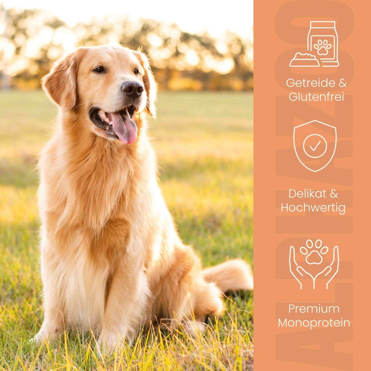 alphazoo Wild + Rind Nassfutter für Adult Hunde