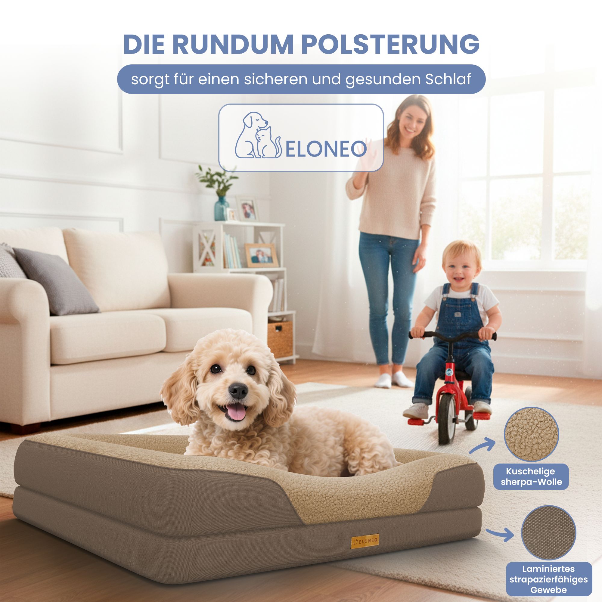 Hundebett in einem Wohnzimmer. Hund liegt im Bett. Text: Die rundum Polsterung sorgt für einen sicheren und gesunden Schlaf.