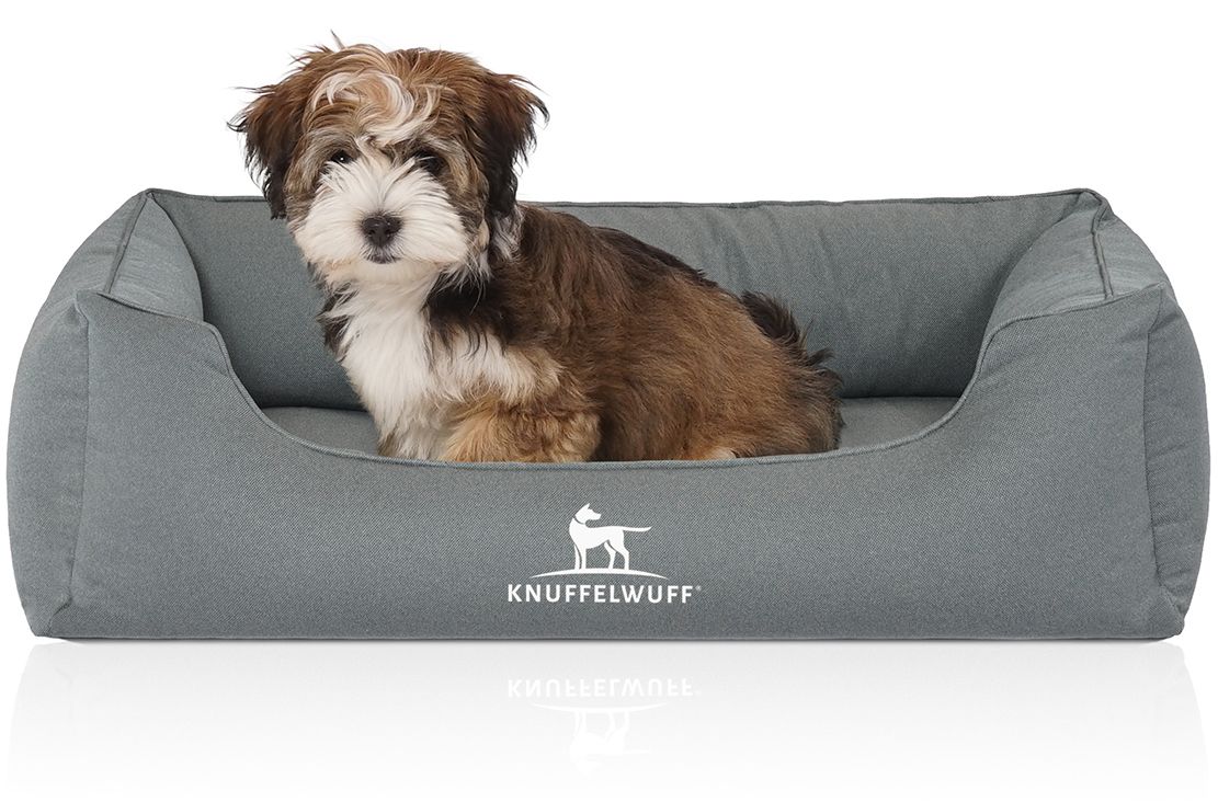Graues orthopädisches Hundebett Leon. Ein kleiner Hund sitzt im Bett. Logo Knuffelwuff.