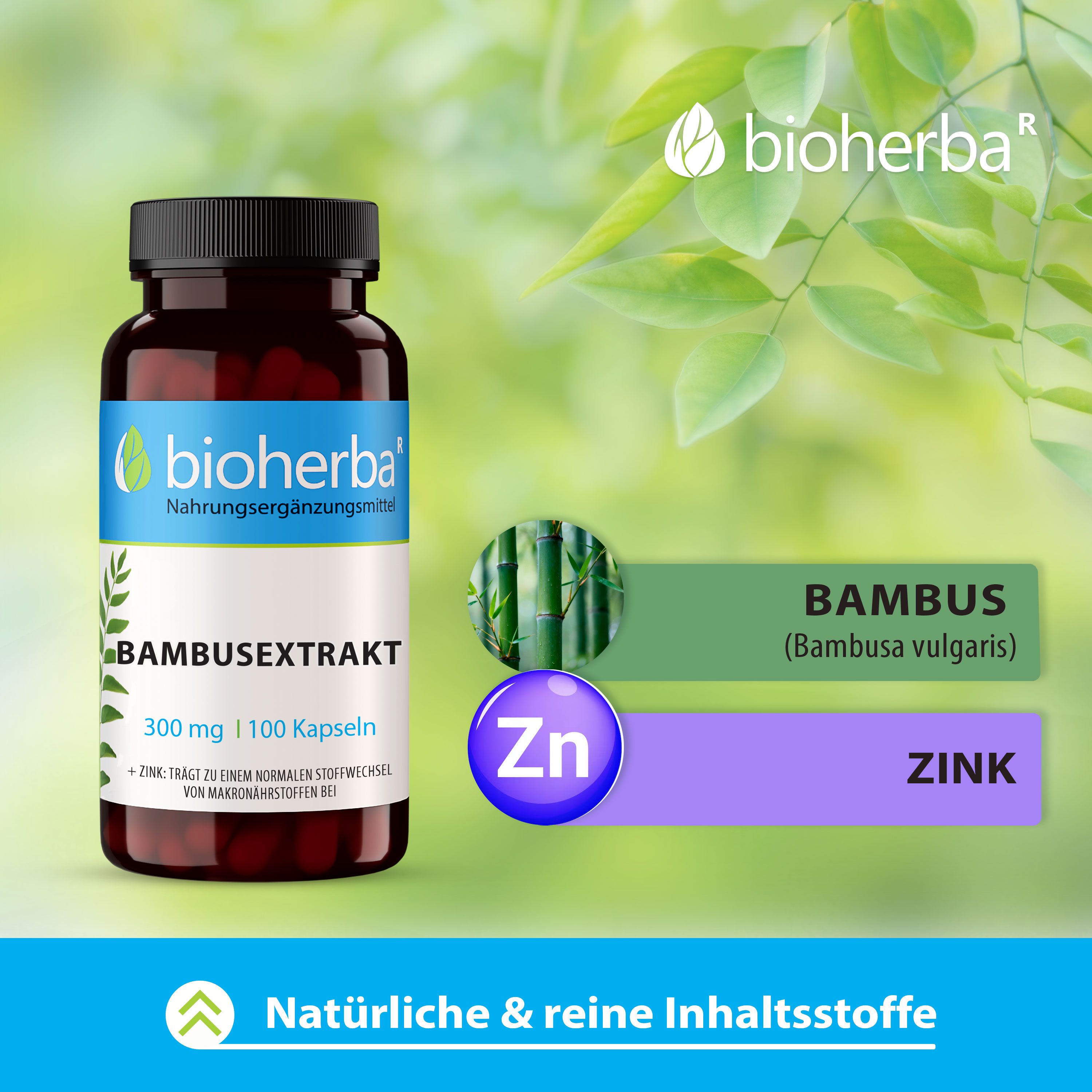 Bioherba Bambusextrakt Kapseln
