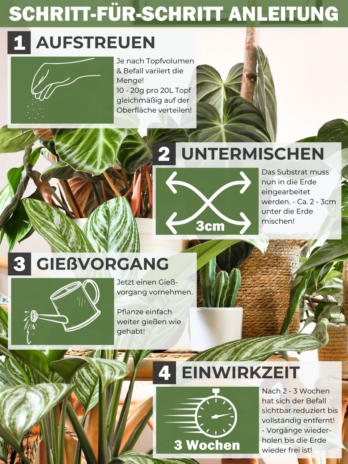 Schritt-für-Schritt Anleitung. 1. Aufstreuen. 2. Untermischen. 3. Gießvorgang. 4. Einwirkzeit. Pflanzen in verschiedenen Töpfen.