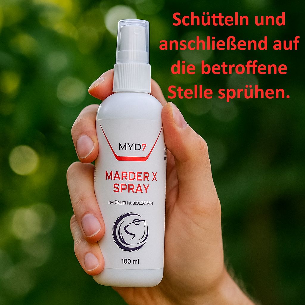 Weiße Sprühflasche mit roter und schwarzer Beschriftung. Aufschrift: MYD7, Marder X Spray, 100 ml. Logo: Marder. Hand hält Flasche.