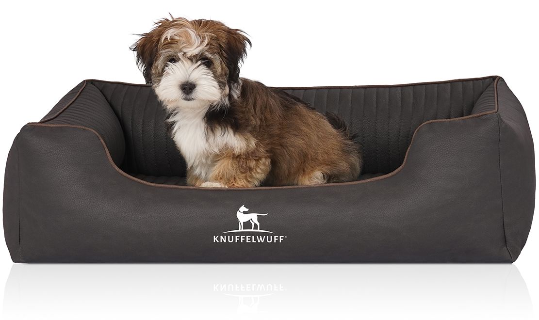 Hundebett, dunkelbraun, mit Hund. Logo: Knuffelwuff. Kleiner Hund sitzt im Bett. Gesteppte Liegefläche, braune Kontrastnaht.