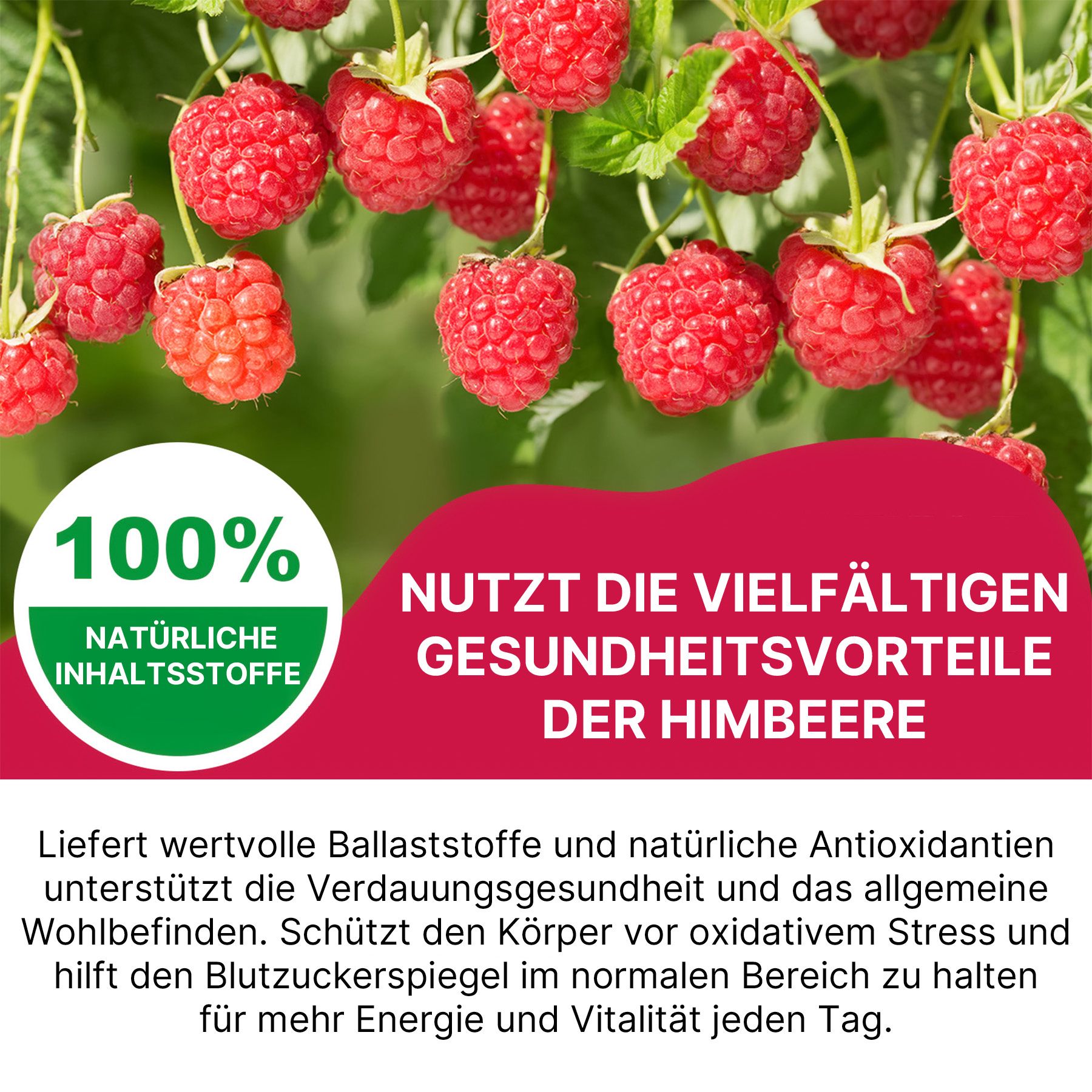 Himbeeren am Strauch mit Text "100% natürliche Inhaltsstoffe" und "Nutzt die vielfältigen Gesundheitsvorteile der Himbeere".