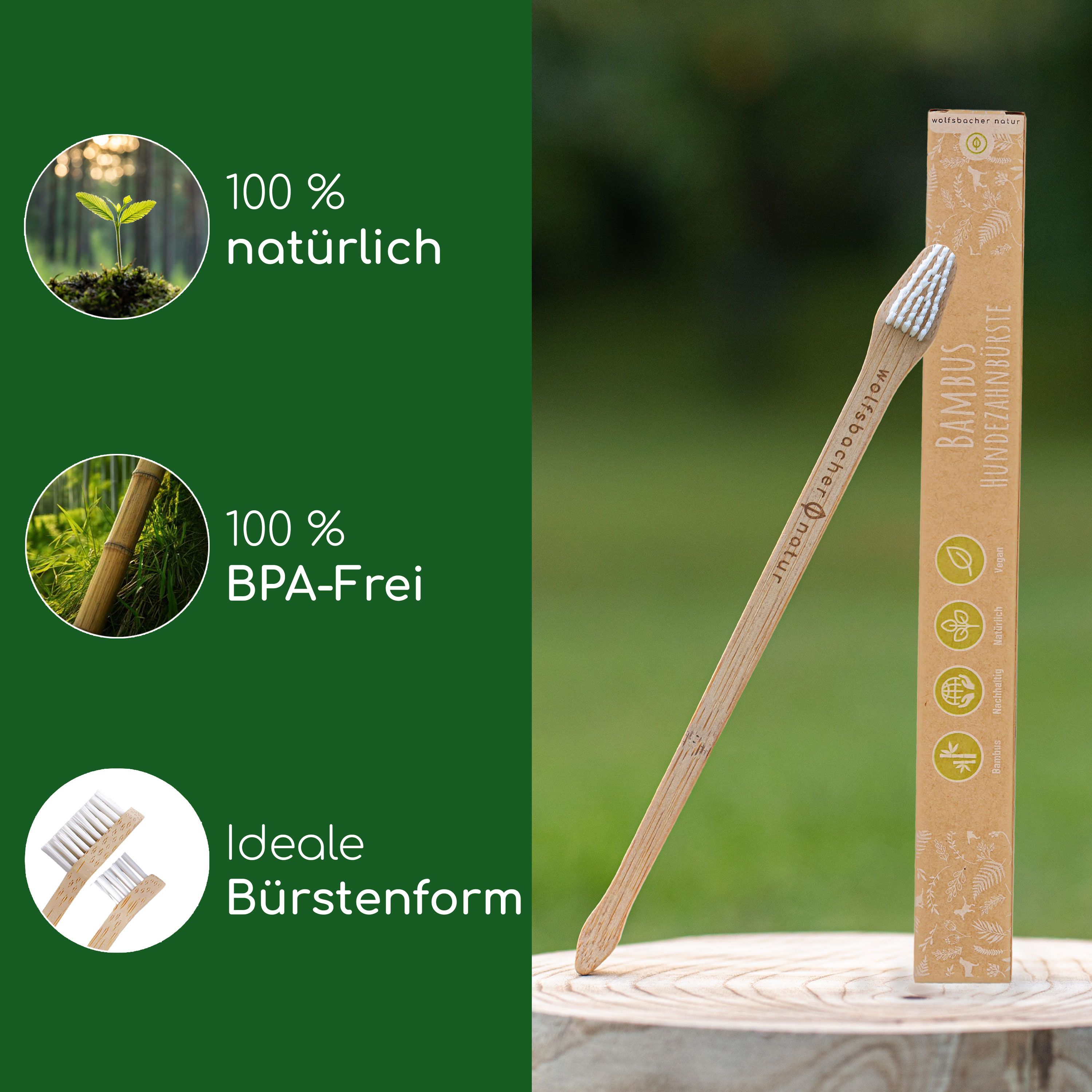 Eine Bambus-Zahnbürste und Verpackung. Aufschrift: 100% natürlich, 100% BPA-frei, ideale Bürstenform.